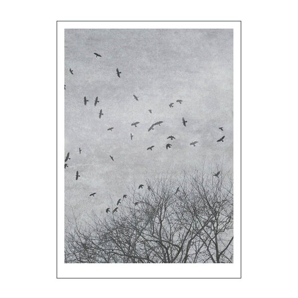 Ingrey Studio poster 50x70 cm crows