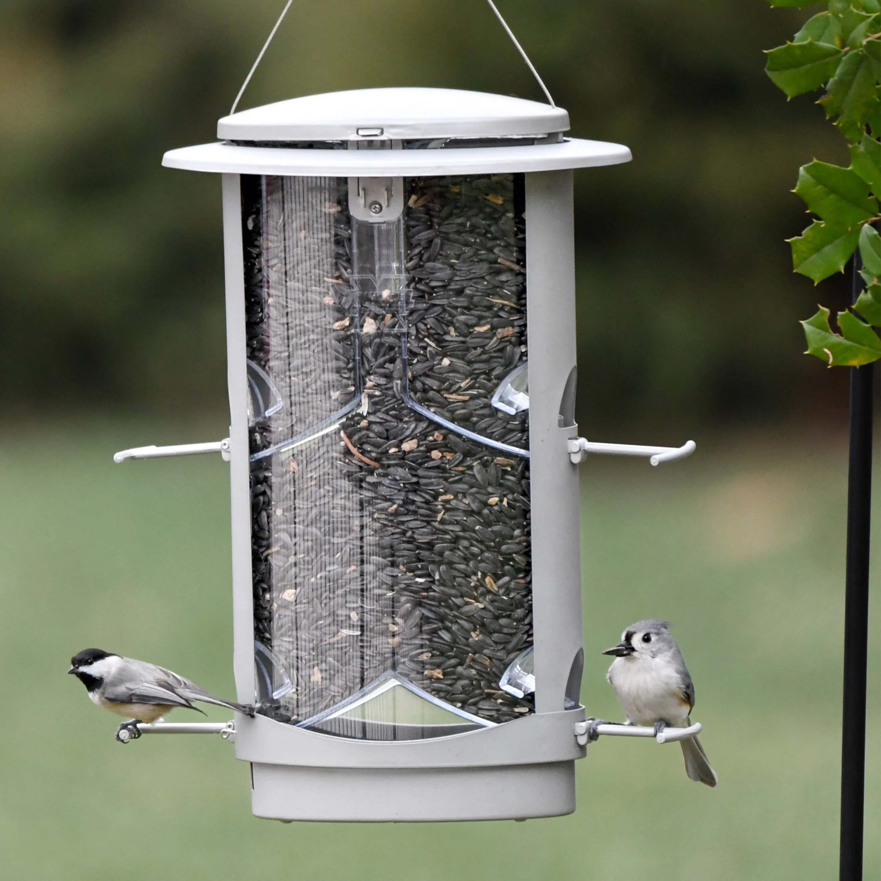 Squirrel - X, X1 Squirrel Resistant Wild Bird Feeder, 4.2 lb Seed Capacity, Satin Nickel Finish