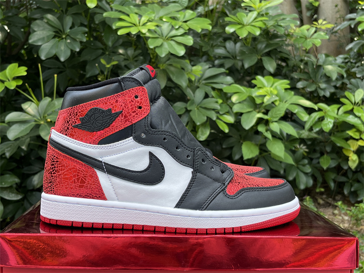 Air Jordan 1 High OG 