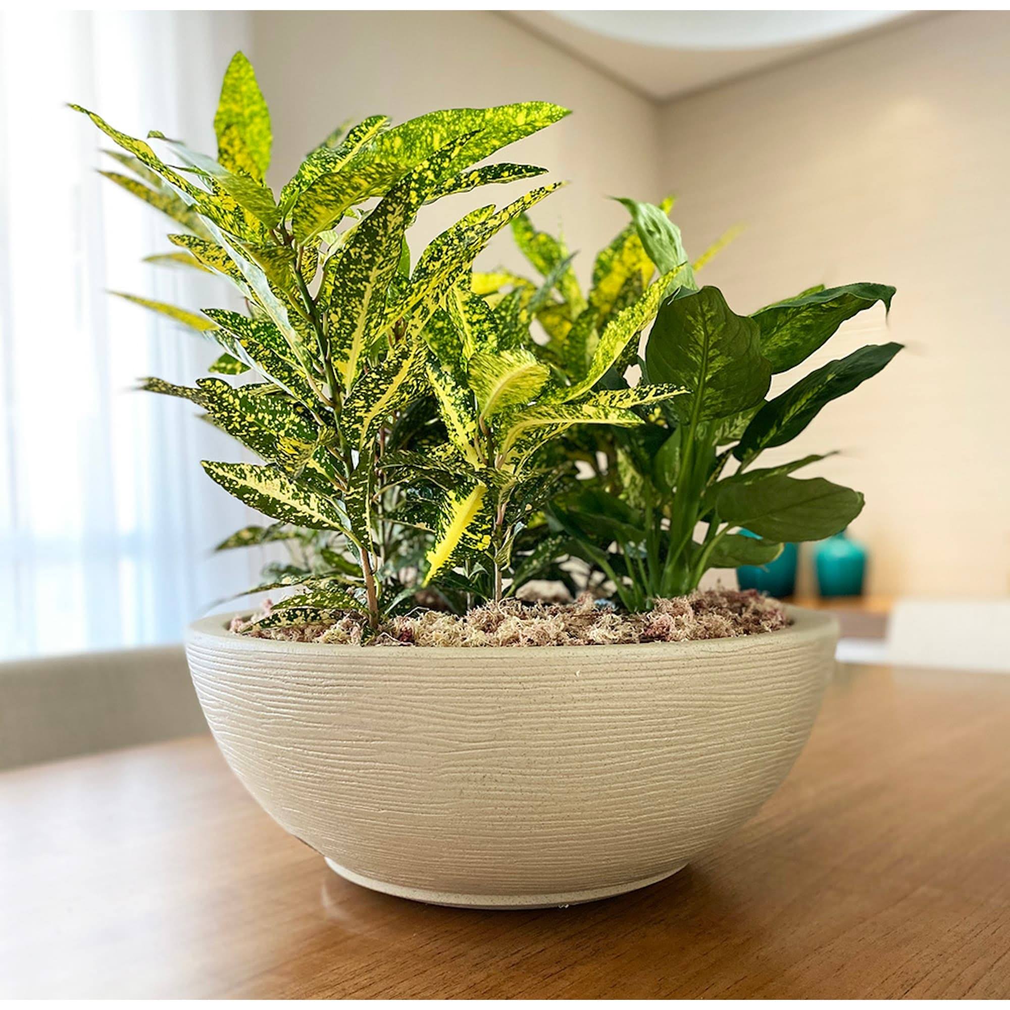 Floridis Amsterdan Large Beige Stone Effect Resin Planter Bowl