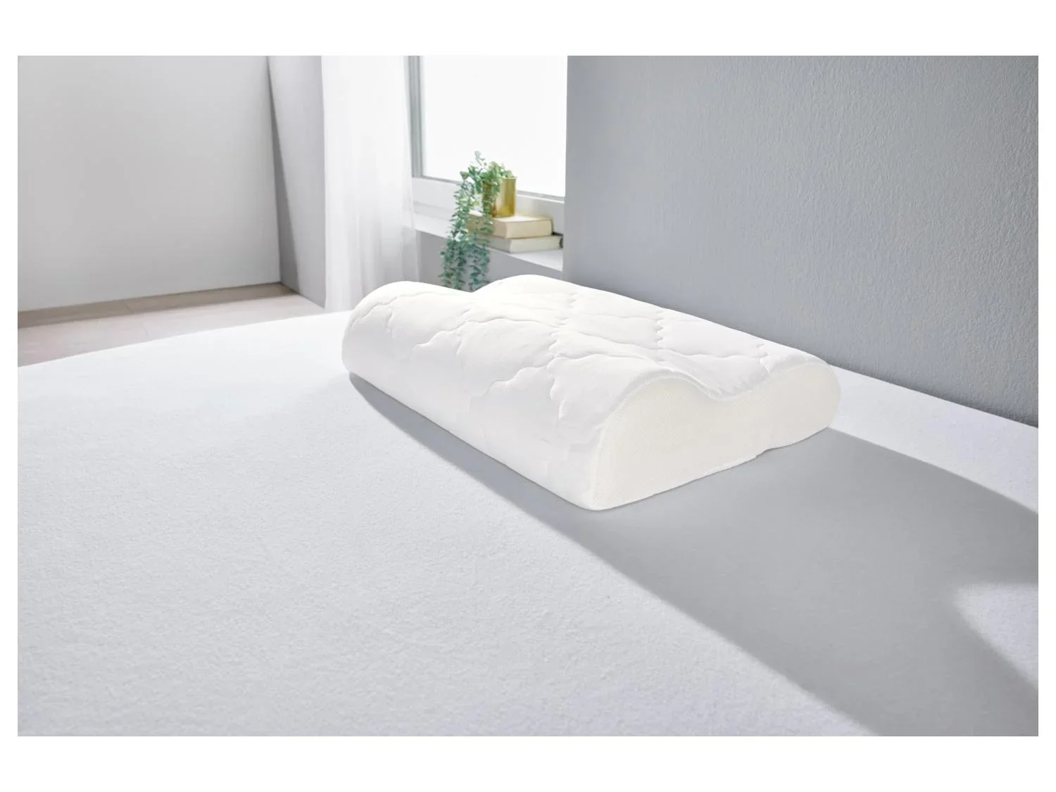 LIVARNO home Oreiller de soutien cervical Polygiene, 50 x 36 cm