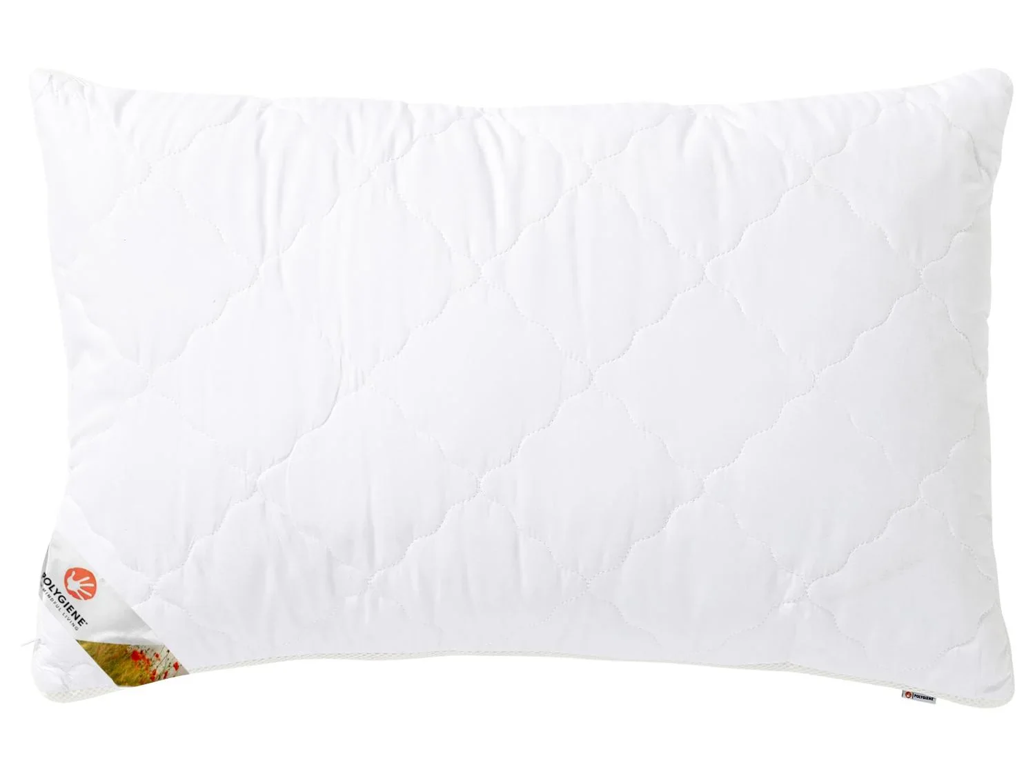 LIVARNO home Oreiller Polygiene, 50x 70 cm