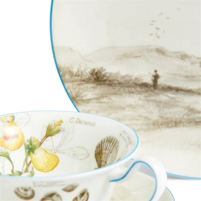 Darwin Voyage of the Beagle Patagonia Teacup Saucer Plate, 3 Pieces