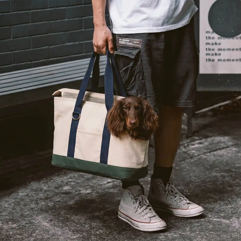 Sporty Stylish Portable Dog Cat Carrier Large Capacity Pet Carrier Bag For Travel and Vet
