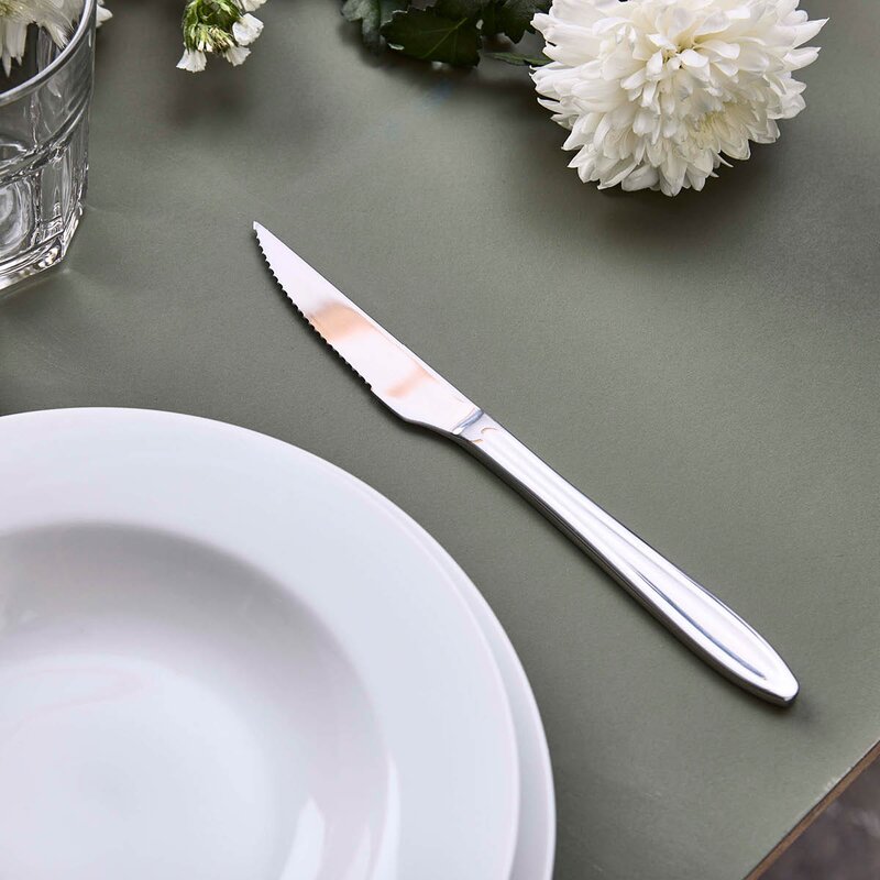 Gastro biffkniv 22 cm mirror polish