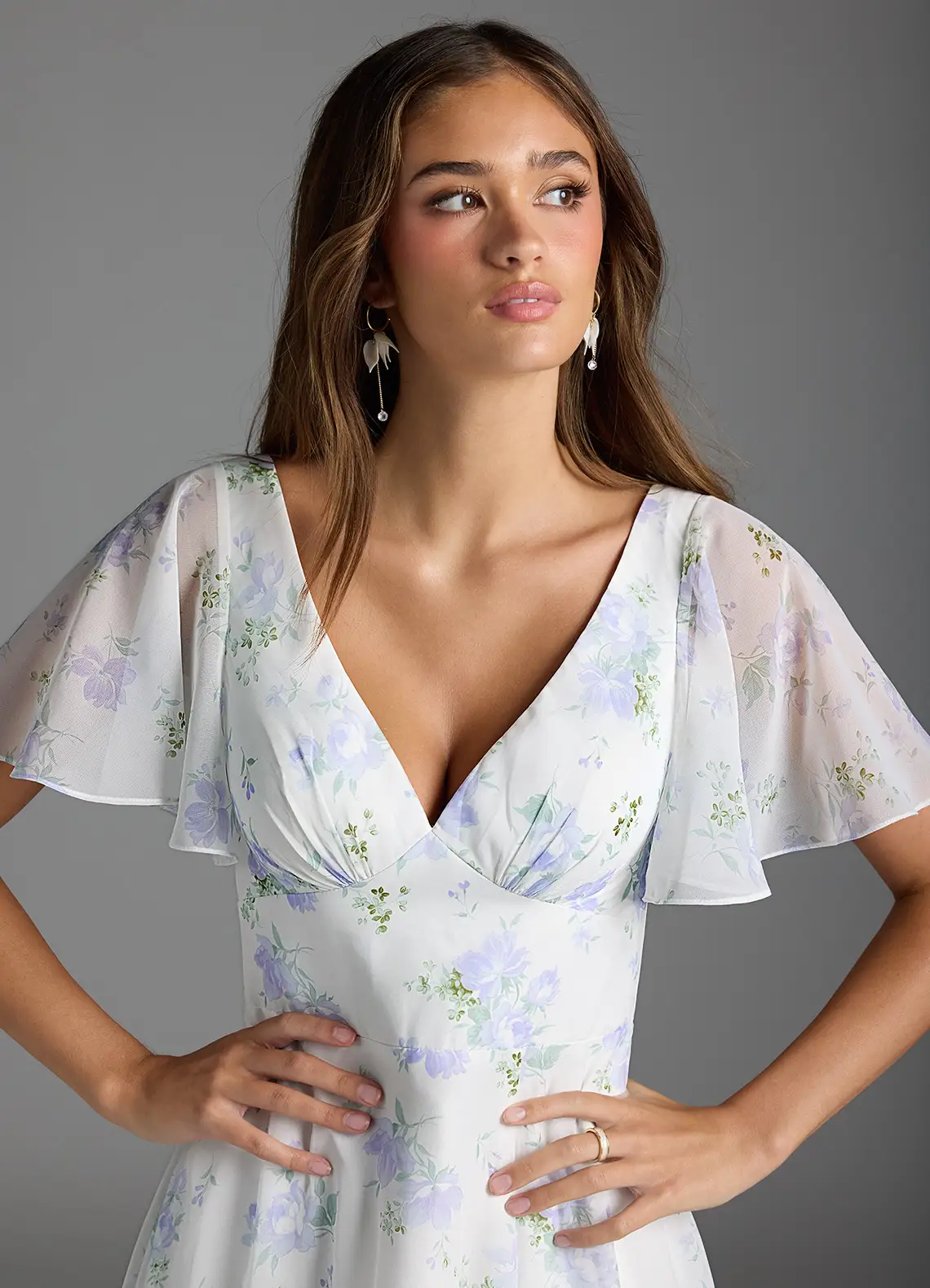Blue Vintage Floral A-Line Flounce Sleeve Chiffon Dress