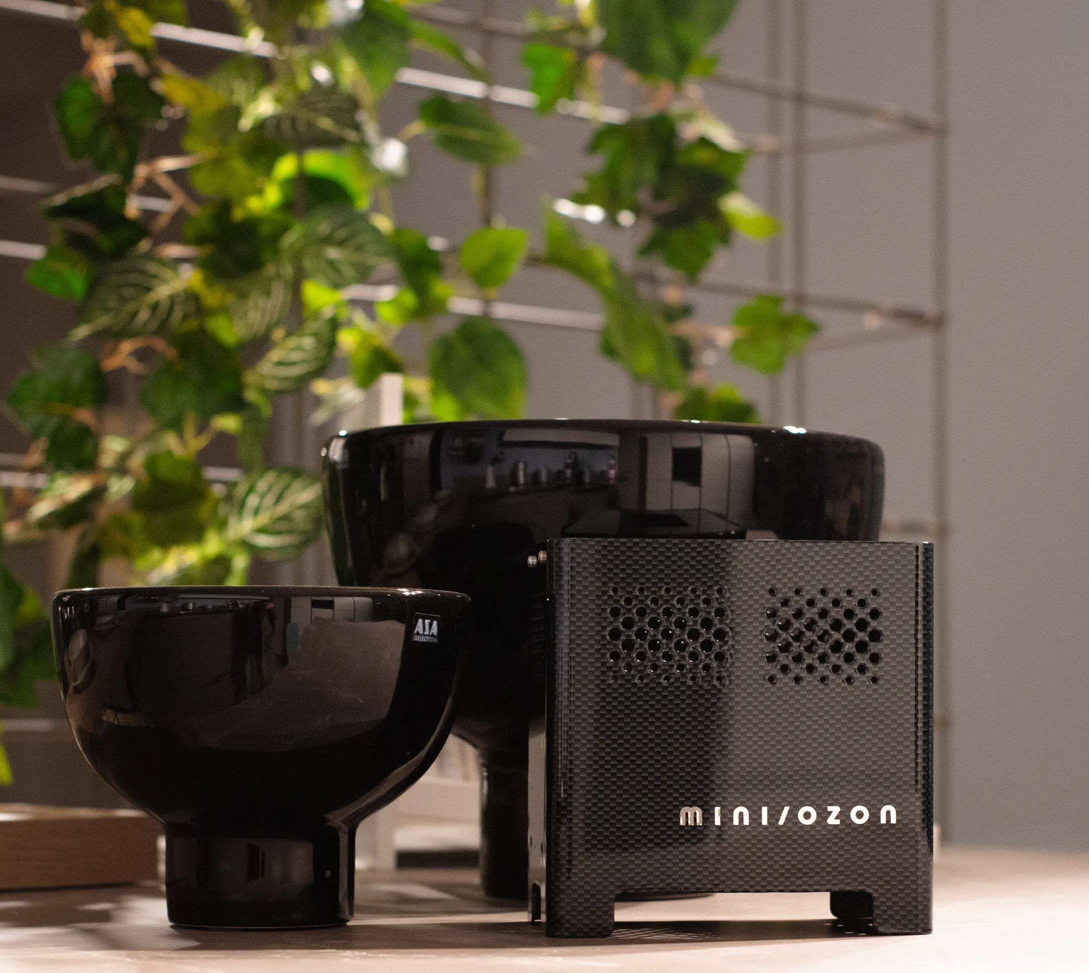 Mini Ozon Luchtreiniger - Carbon