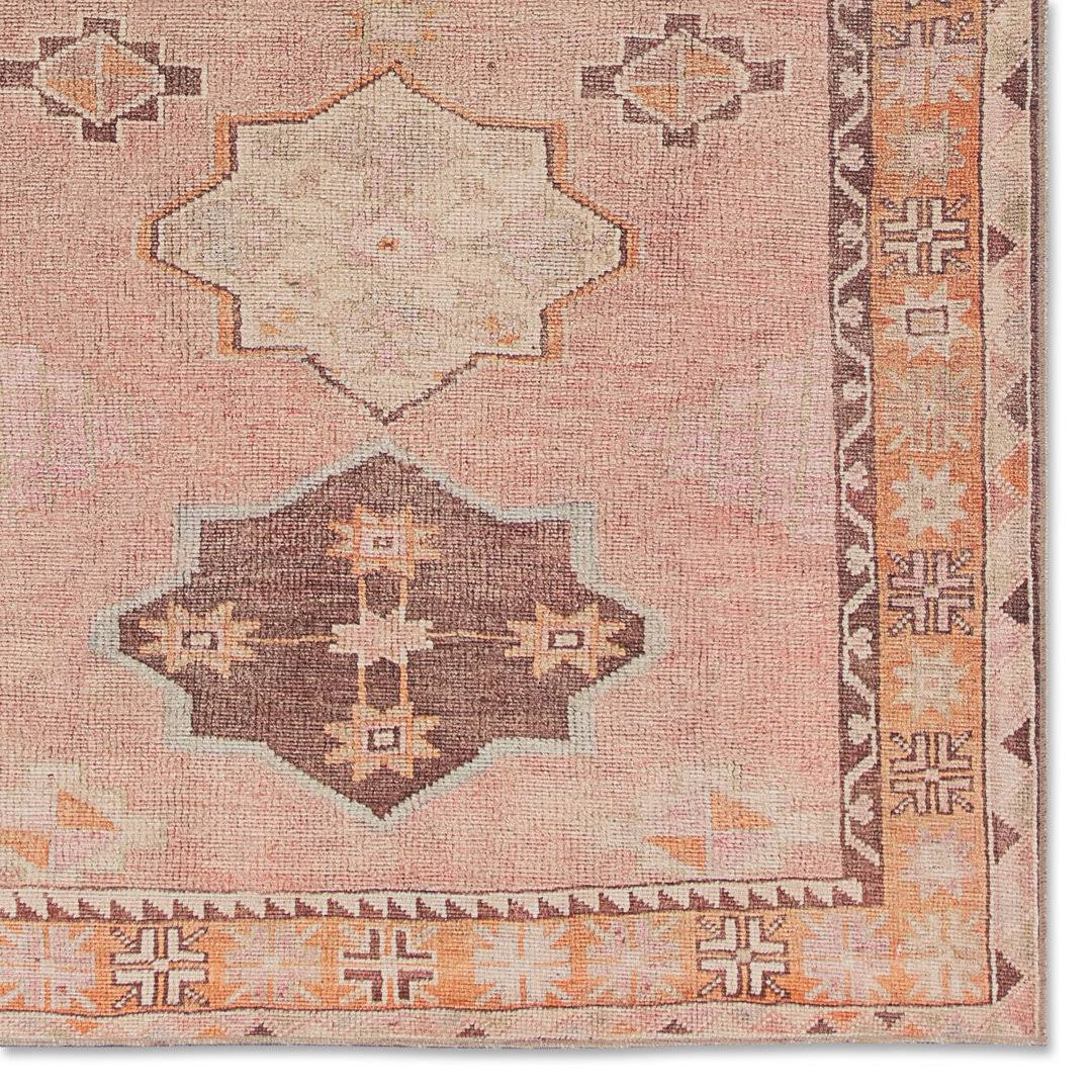 Debary Machine Washable Performance Orange/Pink/Brown Rug Birch Lane Rug Size: Rectangle 2' x 3'