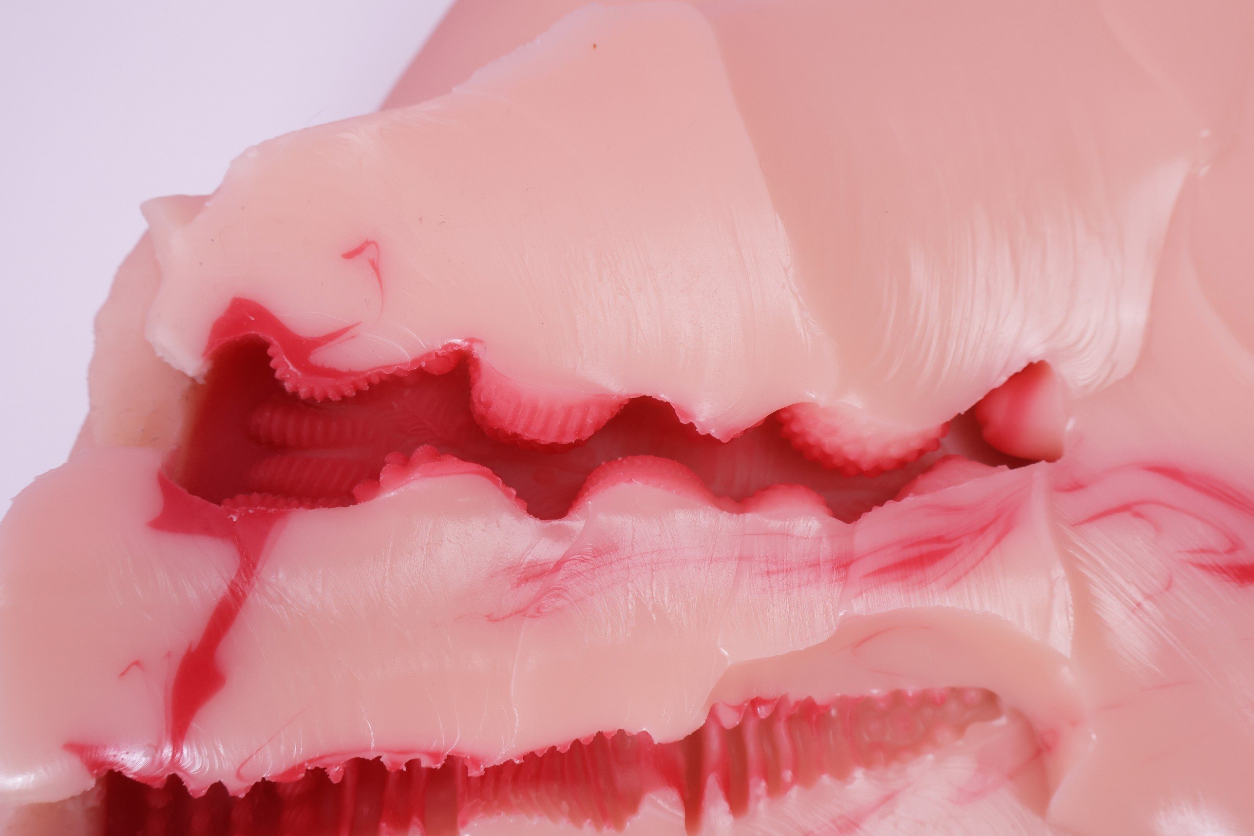 Pasted Image
