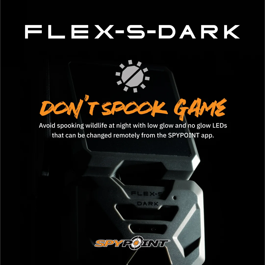 Flex-S Dark Solar Outdoor Cellular Trail Camera Integrated Solar Panel, No WiFi Needed, Night Vision Motion Activated, Dual-Sim LTE, 40MP Photos and 1080p w/Sound - Image 6