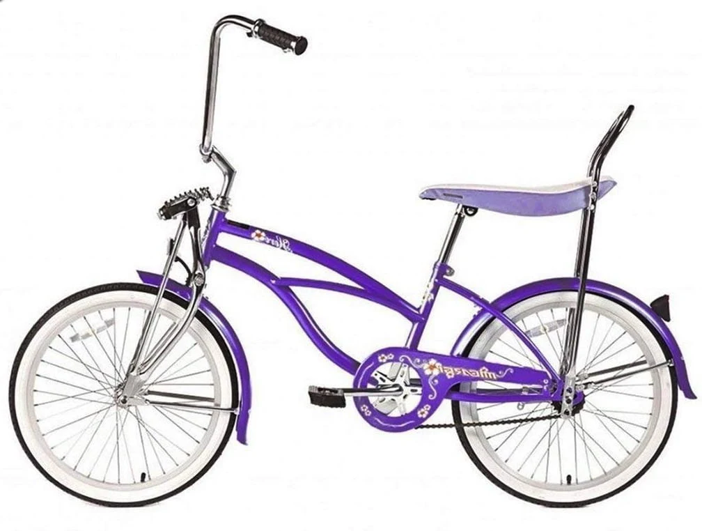 Wonder Wheels 20 In. Beach Cruiser Lowrider Coaster Brake Single Speed Bicycle, Bike with Banana Seat Stainless Steel Spokes One Piece Crank Alloy Rims 36 H - Purple