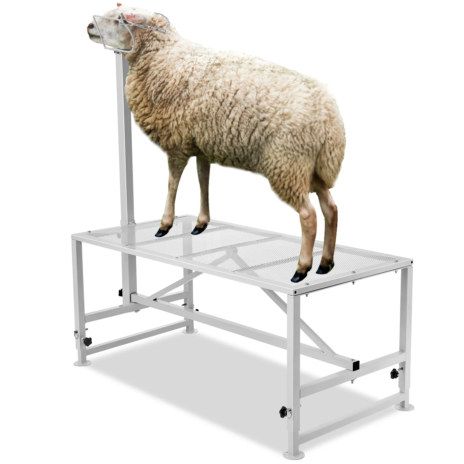 Livestock Stand for Goats and Sheep, 47x23 inch, Durable Metal Frame for Milking and Shearing, Height Adjustable from 21" to 33" - Image 4