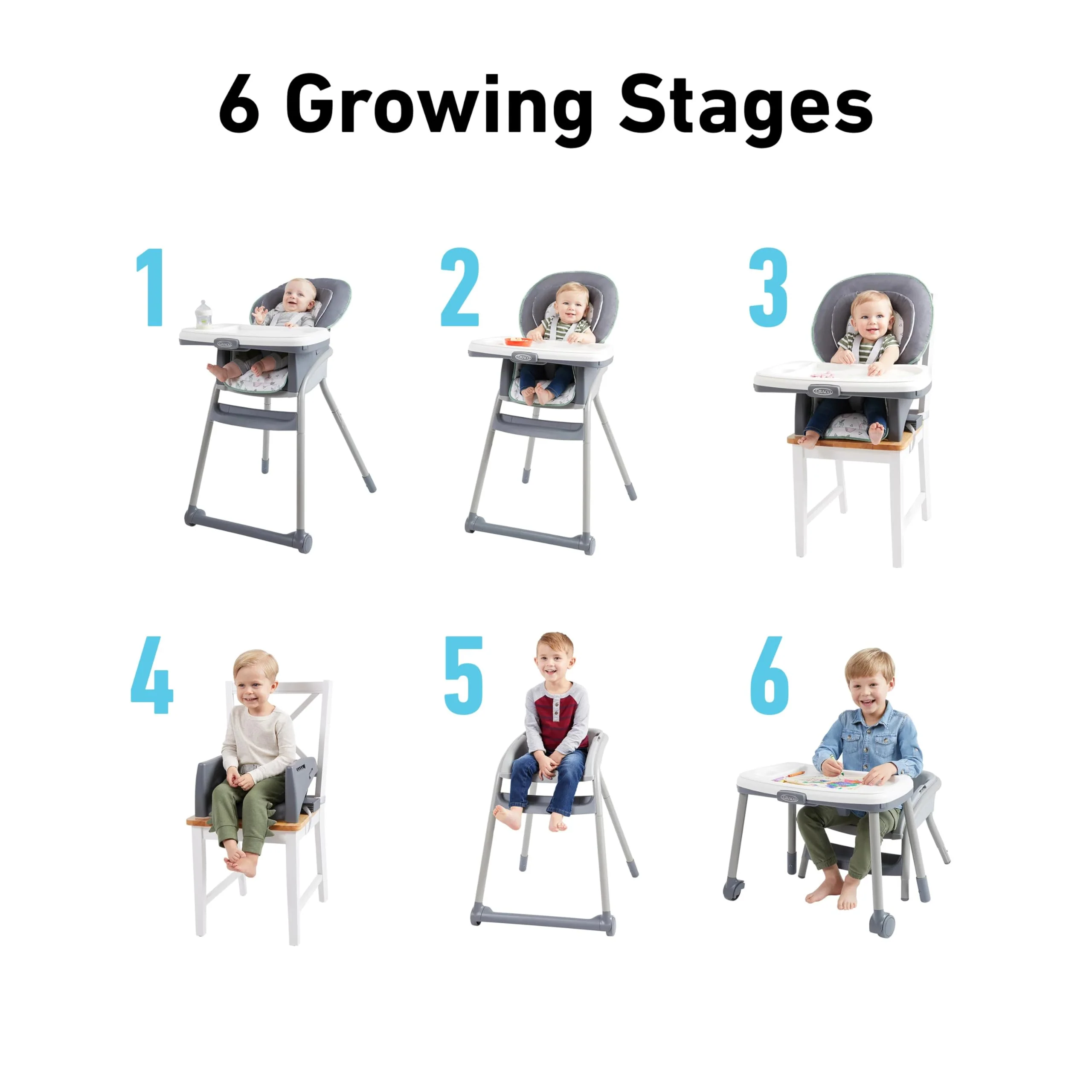 Graco? Table2Table? LX 6-in-1 Highchair