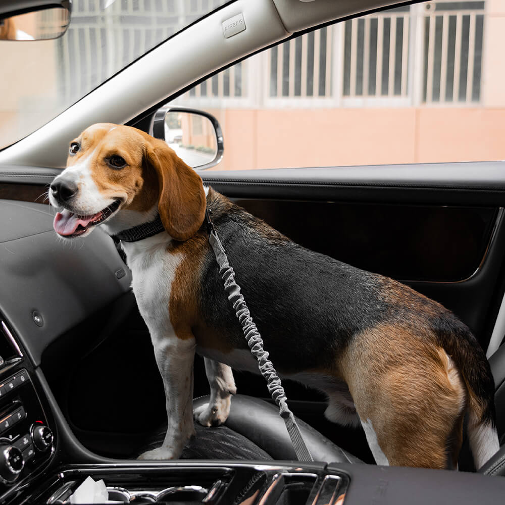 Car Seat Belt Buffer Adjustable Cool Dog Accessories