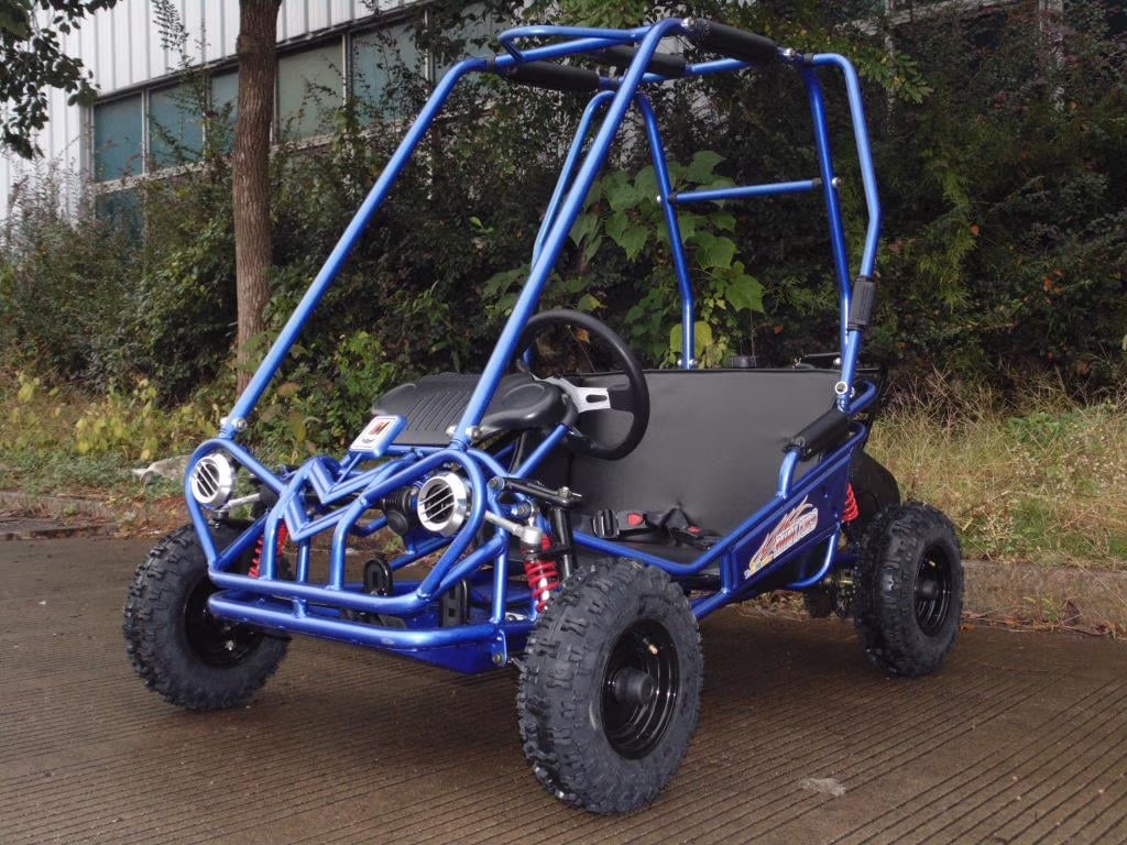 Mini XRS+ 163cc Kids Go-Kart | 2-Seater | Automatic | Ages 5�C11 | Off-Road Go Kart with 5.5HP Engine, Dual Suspension, and Disc Brakes
