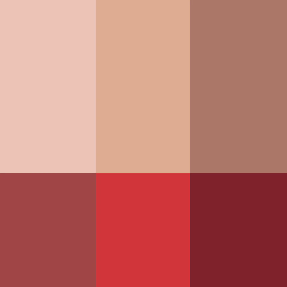 La Palette Visage