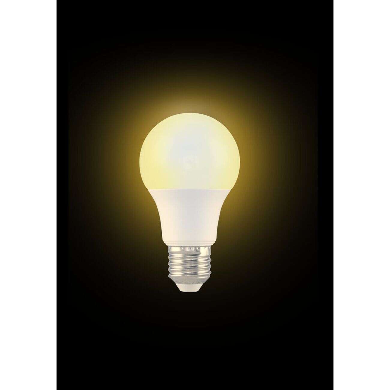 Ampoule LED E27 A60 blanc chaud 8,5W=60W 806lms classe F