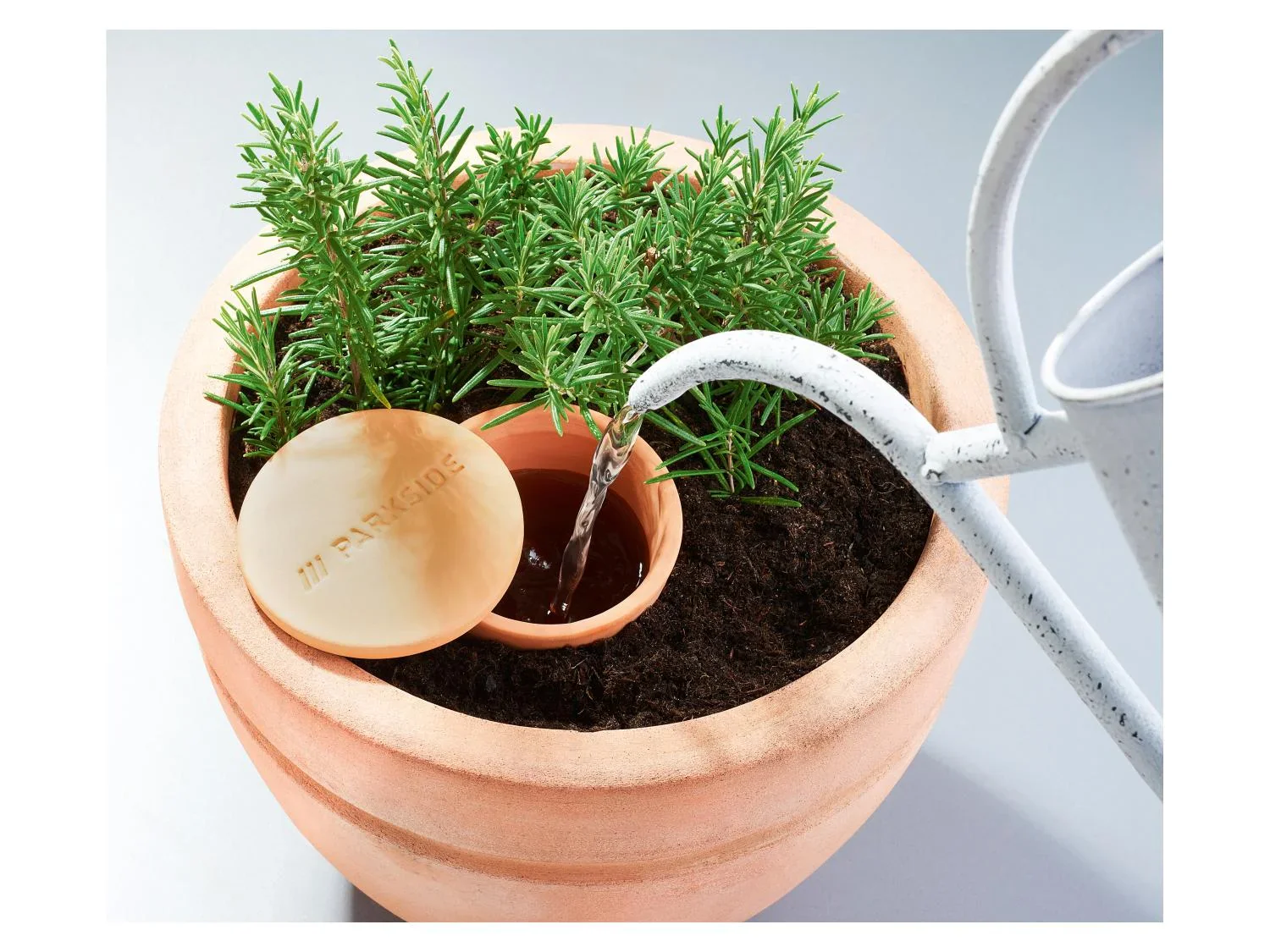 PARKSIDE Cnes ou Oya darrosage pour plantes