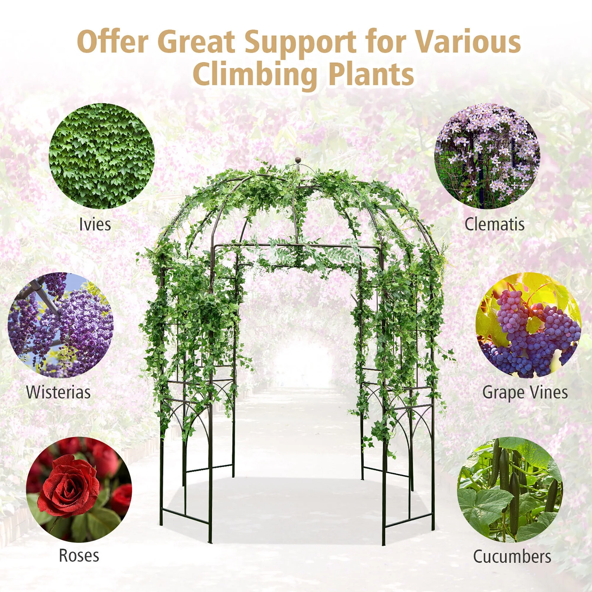 Birdcage Shape Garden Arbor Pergola Climbing Plants Stand Rack for Wedding Party - Image 6