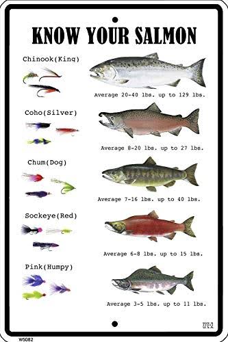 Crosswalks Know Your Salmon 10