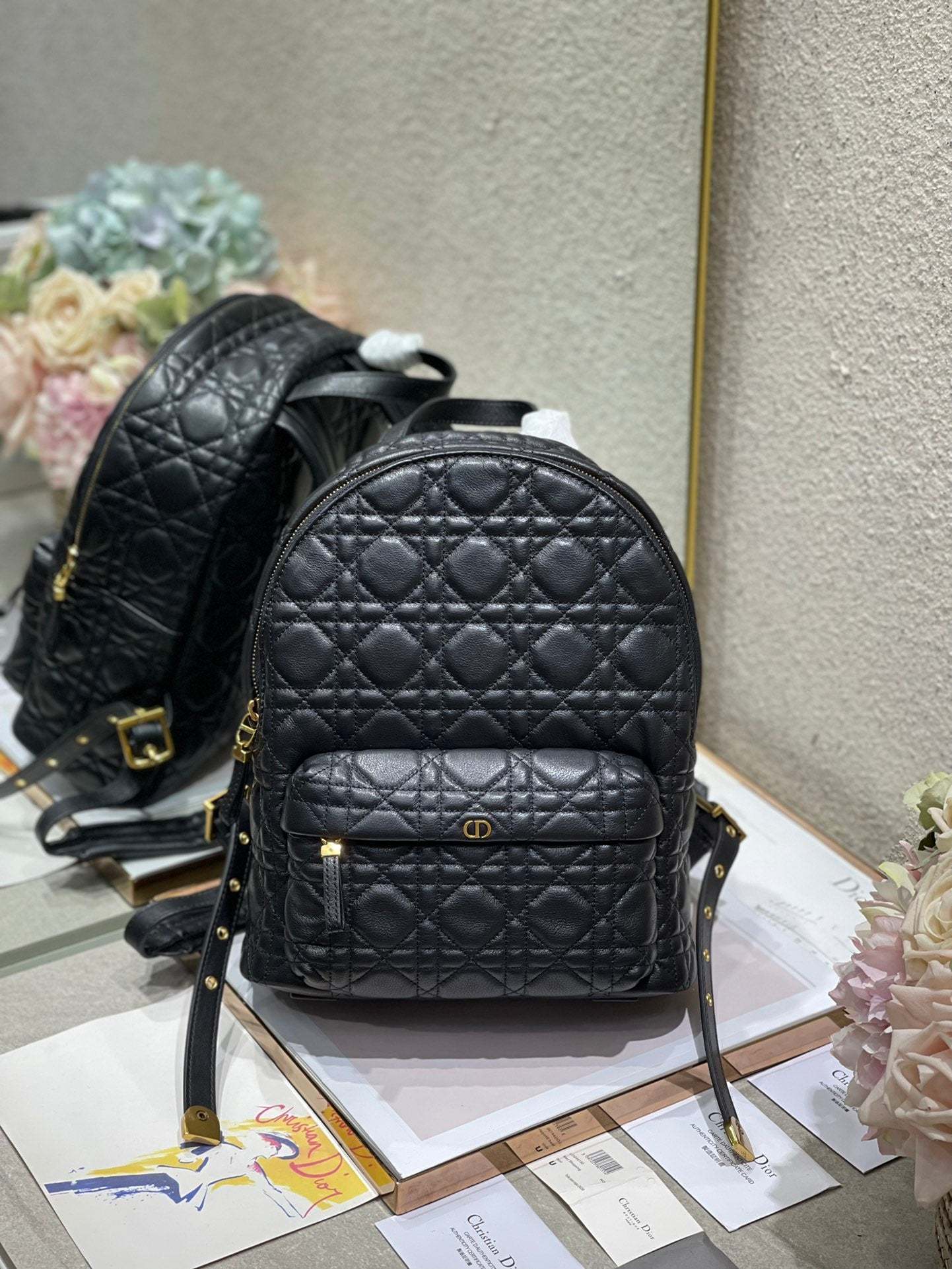 CD   Backpack