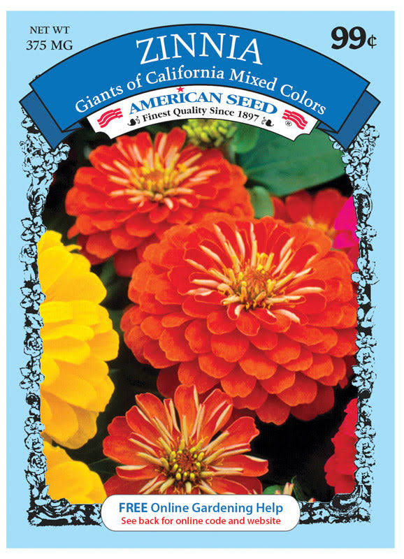 NS American Seed Flower