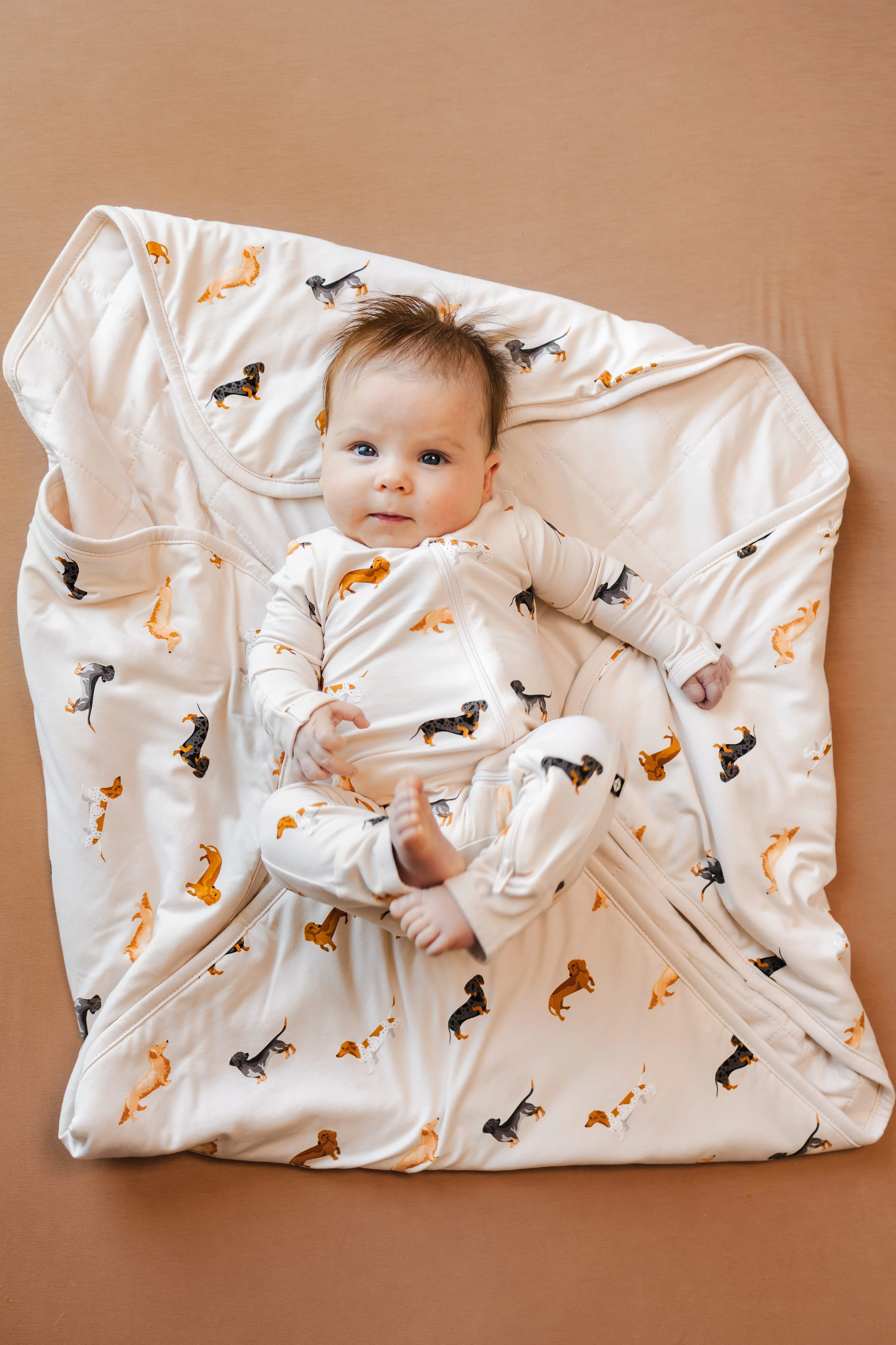 Baby Blanket in Dachshund 1.0