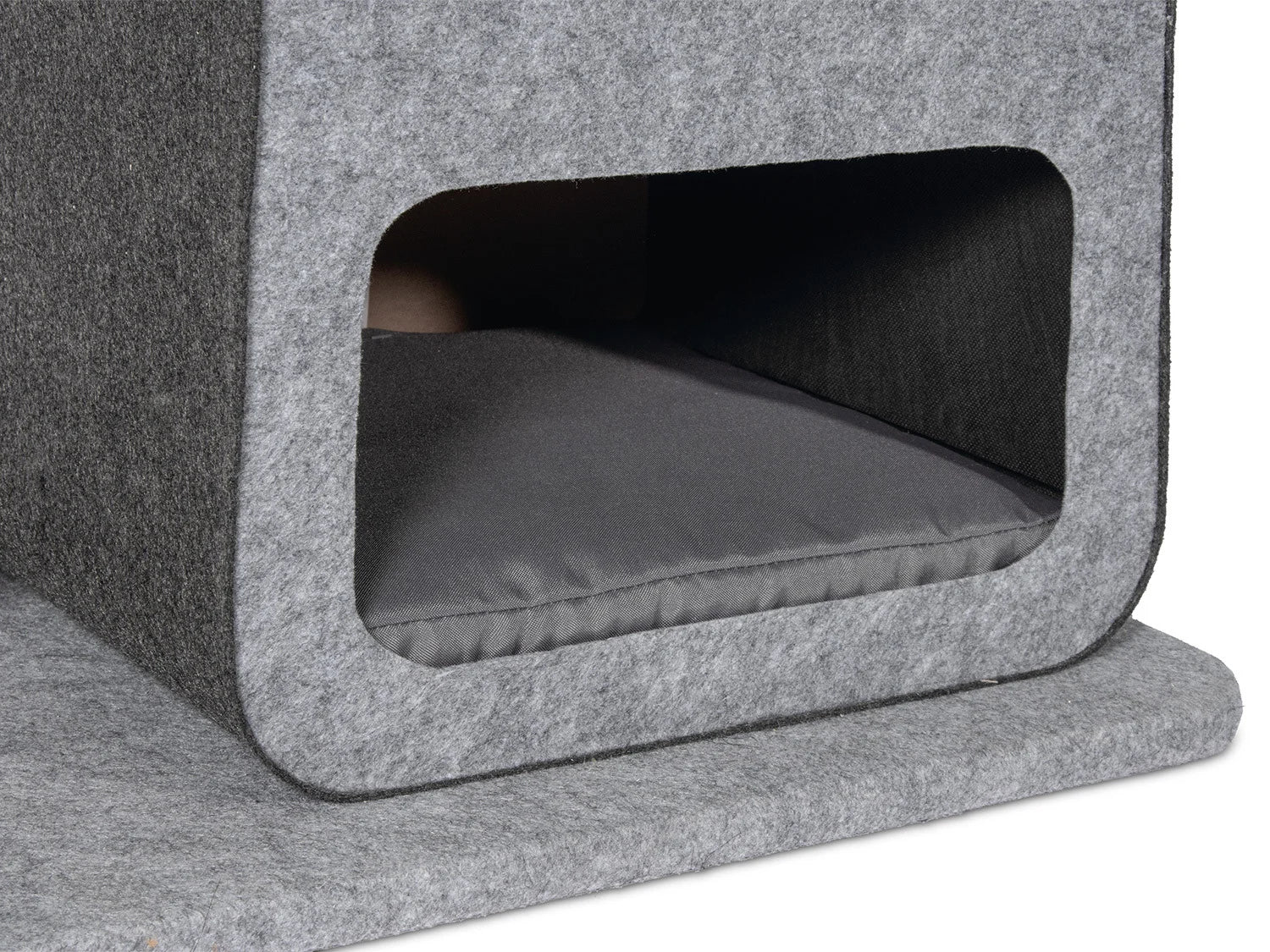 Karlie Arbre  chat, gris