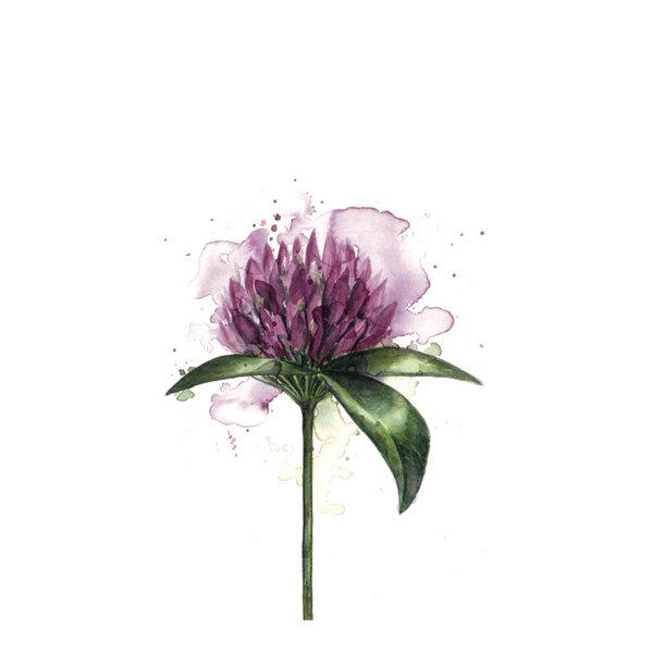 Servietter lunsj 33x33 cm 20 stk kløverblomst