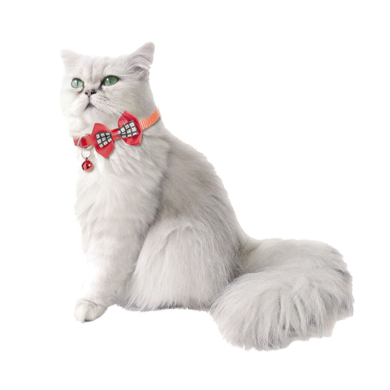 Collier chat ajustable clochette et noeud papillon rouge