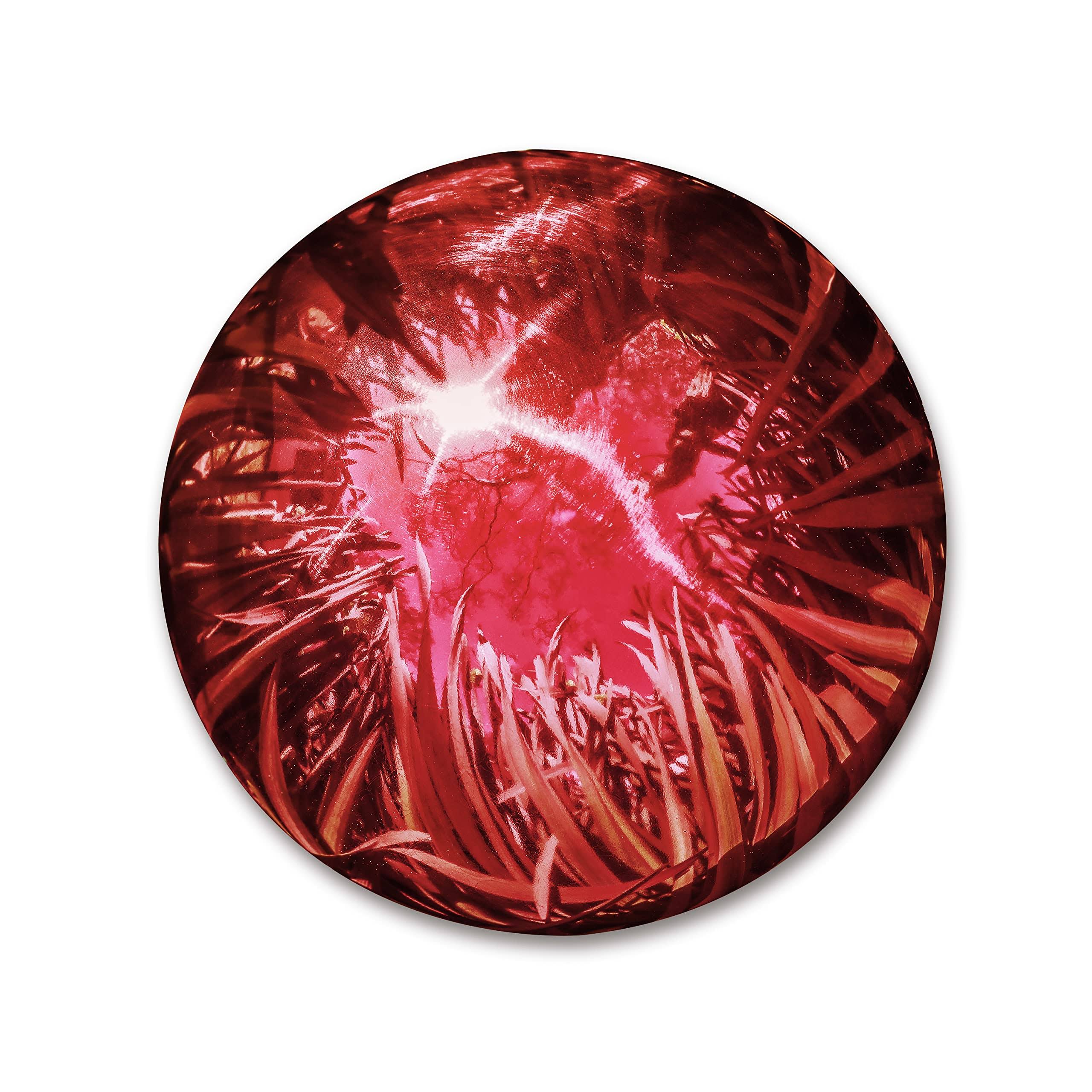 Trademark Innovations Red Stainless Steel 10-Inch Gazing Mirror Ball