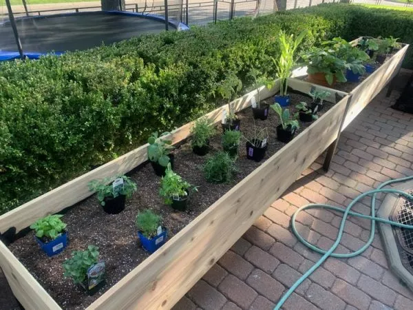 Jardinière surélevée Ankerfield à arrosage automatique et teintée écologiquement