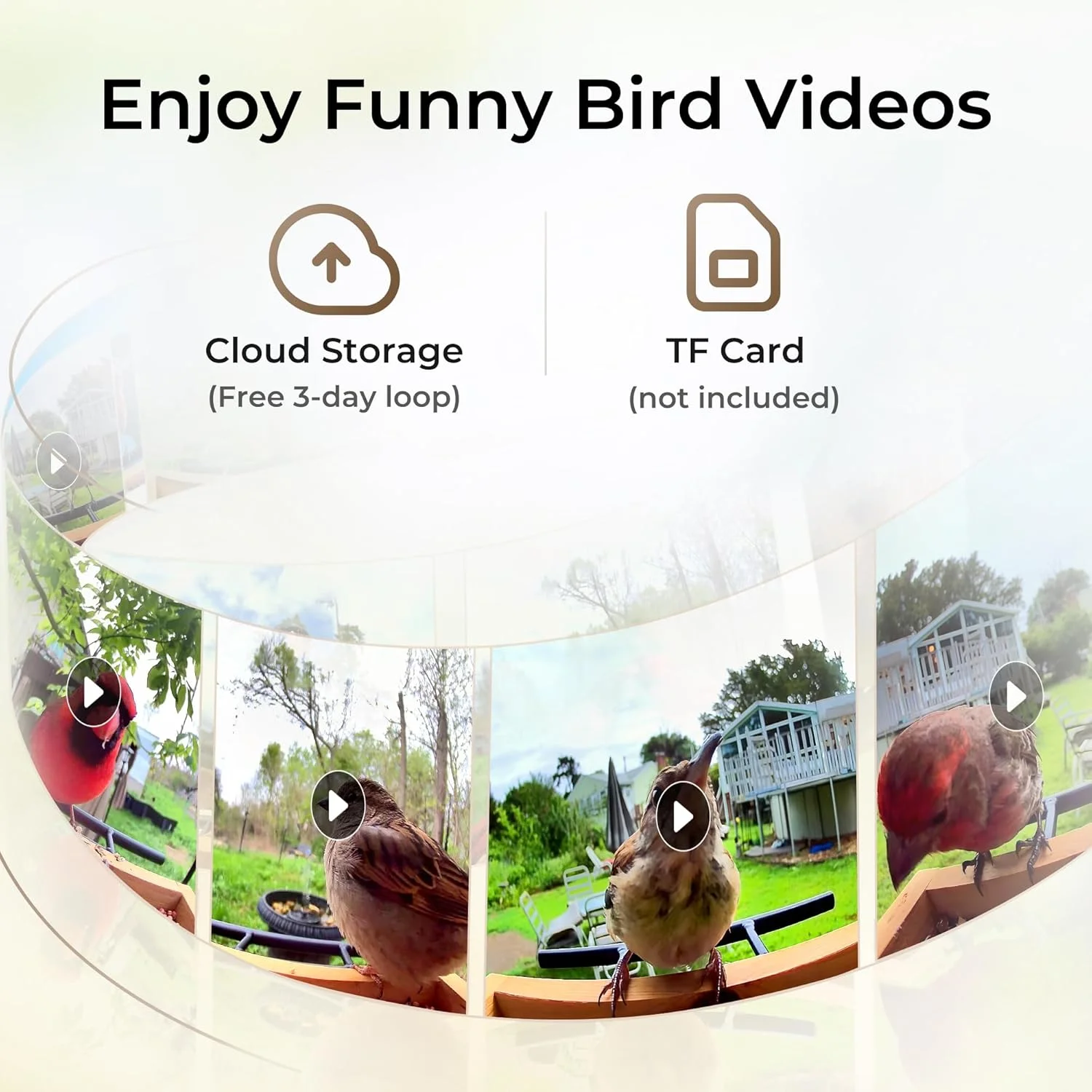 Bird Feeder with Camera, AI Identify 10,000+ Species, Auto Capture, Real-Time Notifications, Upgraded for Bird Watching with Solar Panel, Perfect Gift for Bird Lovers(Wood and Iron roof) - Image 4