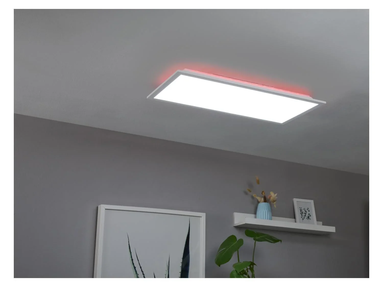 LIVARNO home Plafonnier  LED