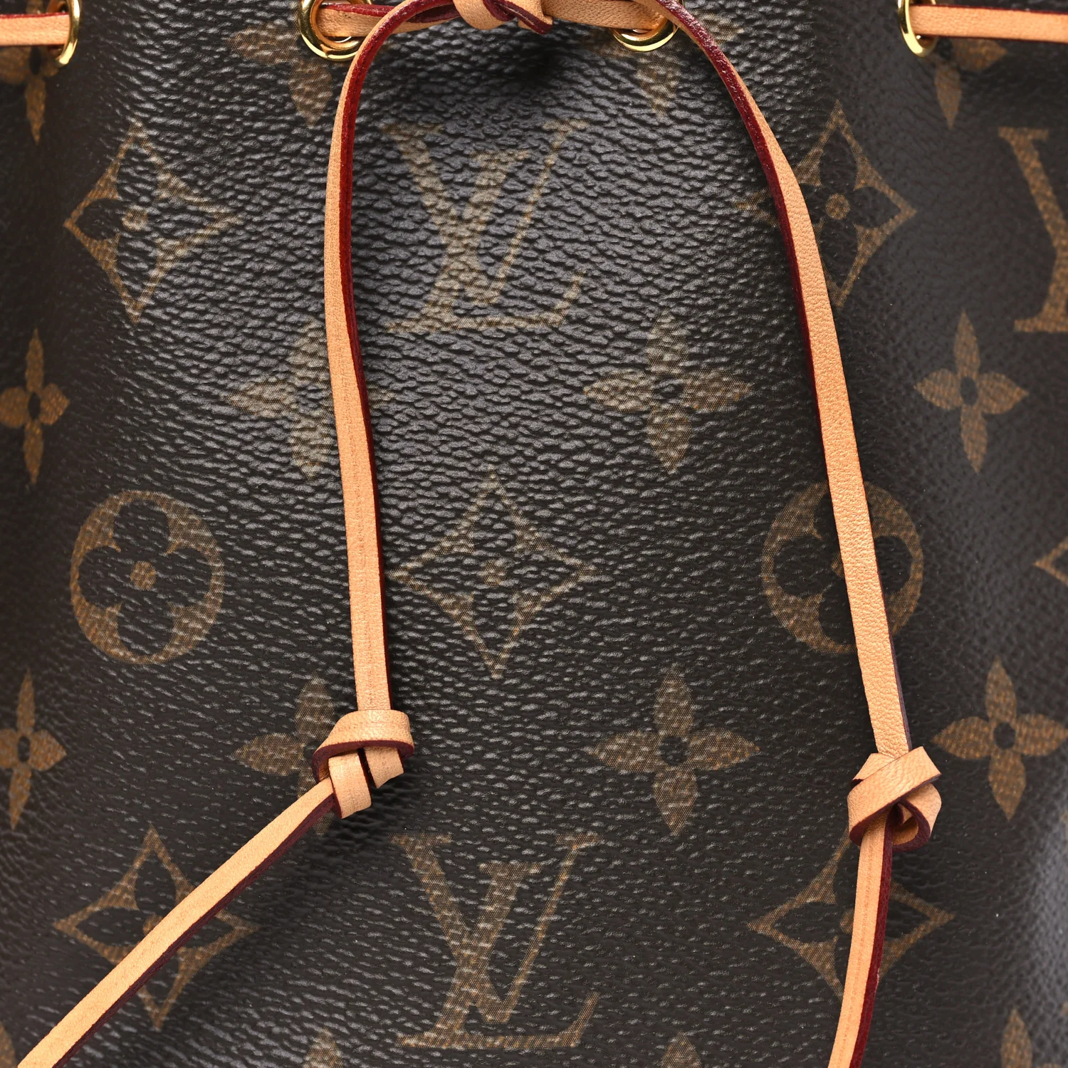 Monogram Nano Noe