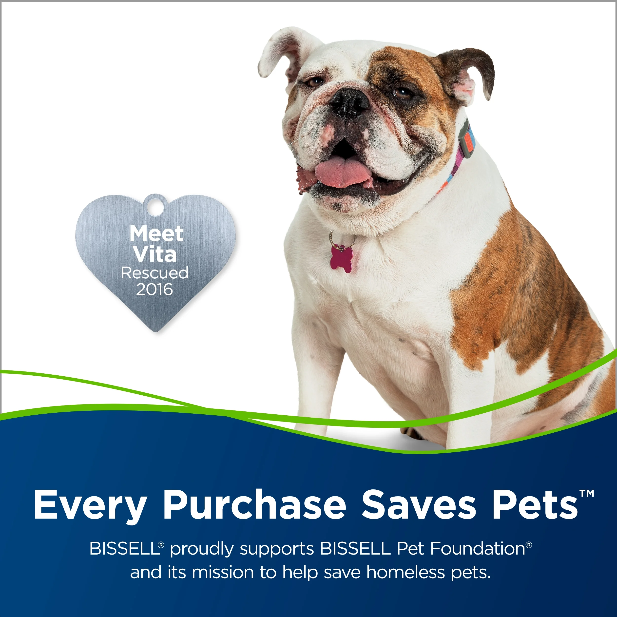 Bissell Spotclean Pet Pro Portable Carpet Cleaner, 2458