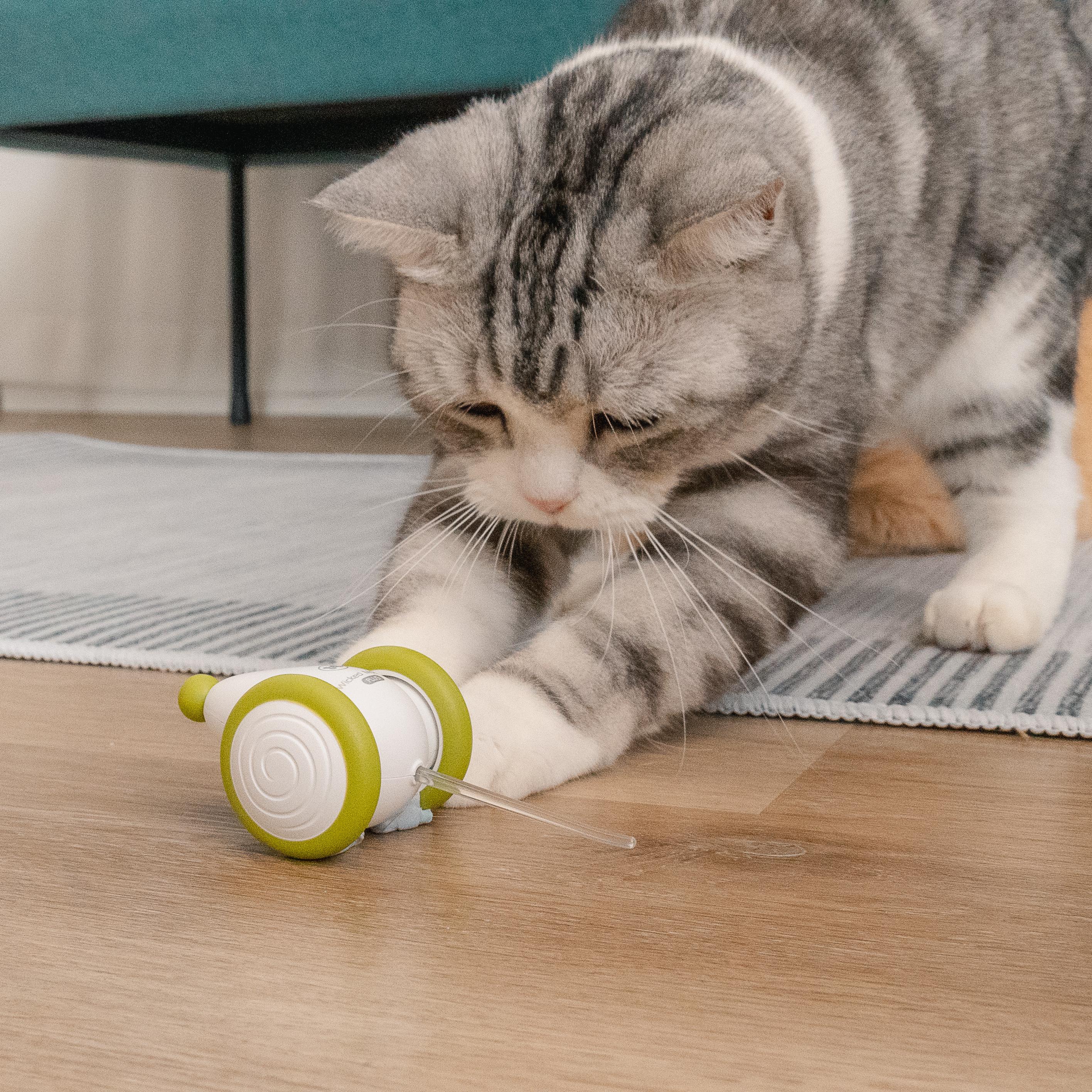 Smart Sensing & Automatic Interactive Toy for Cats