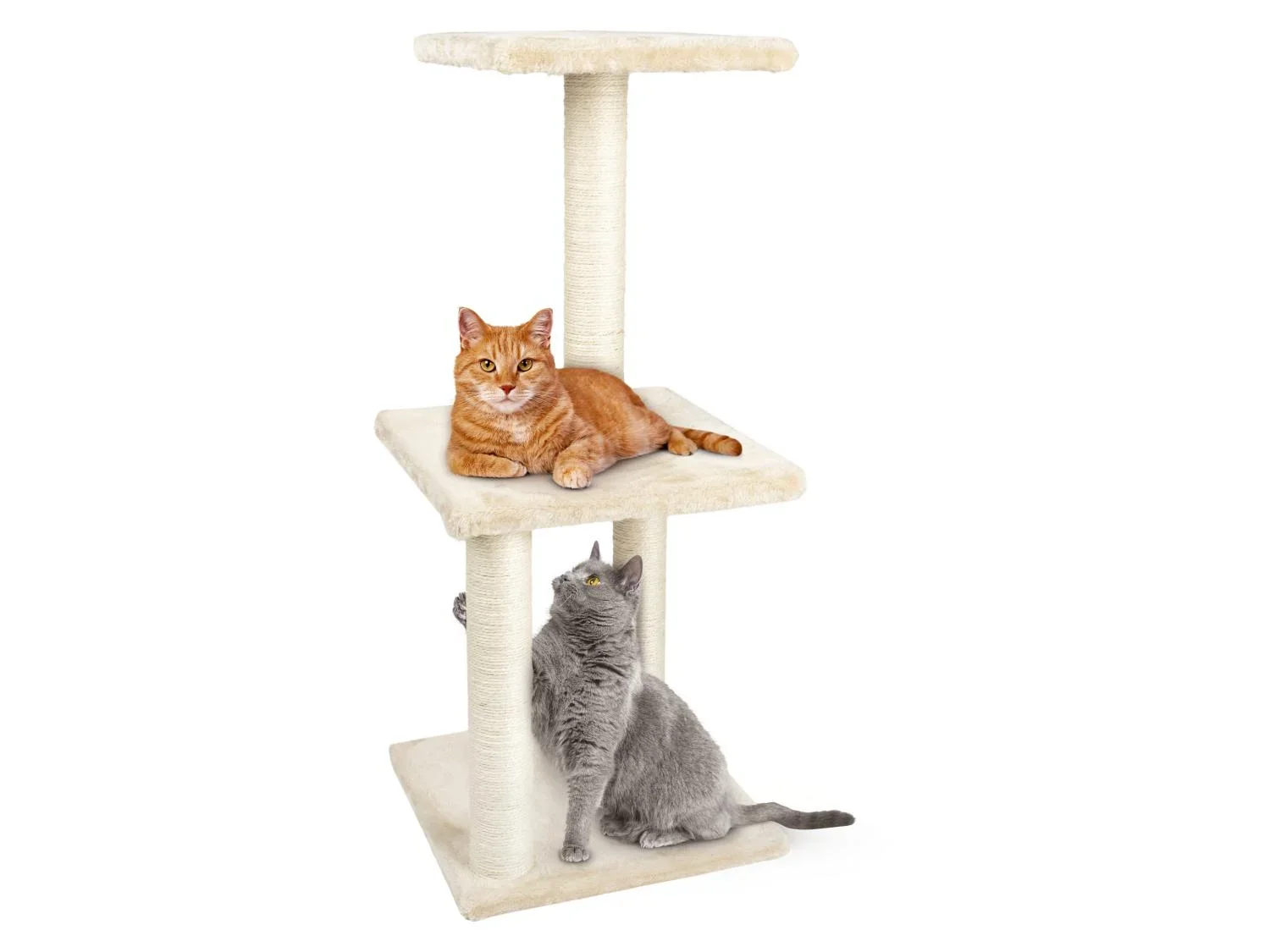 zoofari Arbre  chat, 87 x 36 x 36 cm