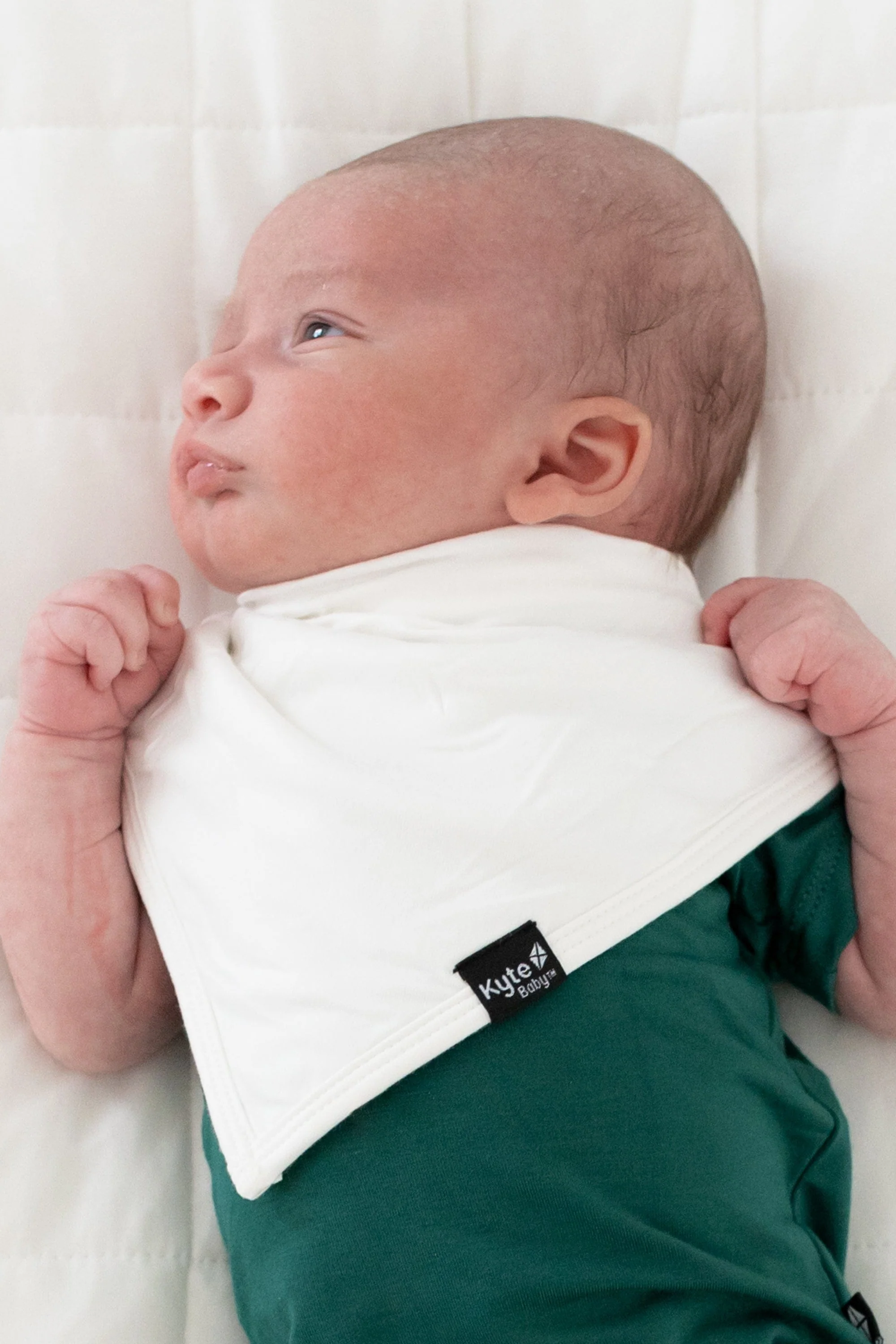 Bib in Cloud
