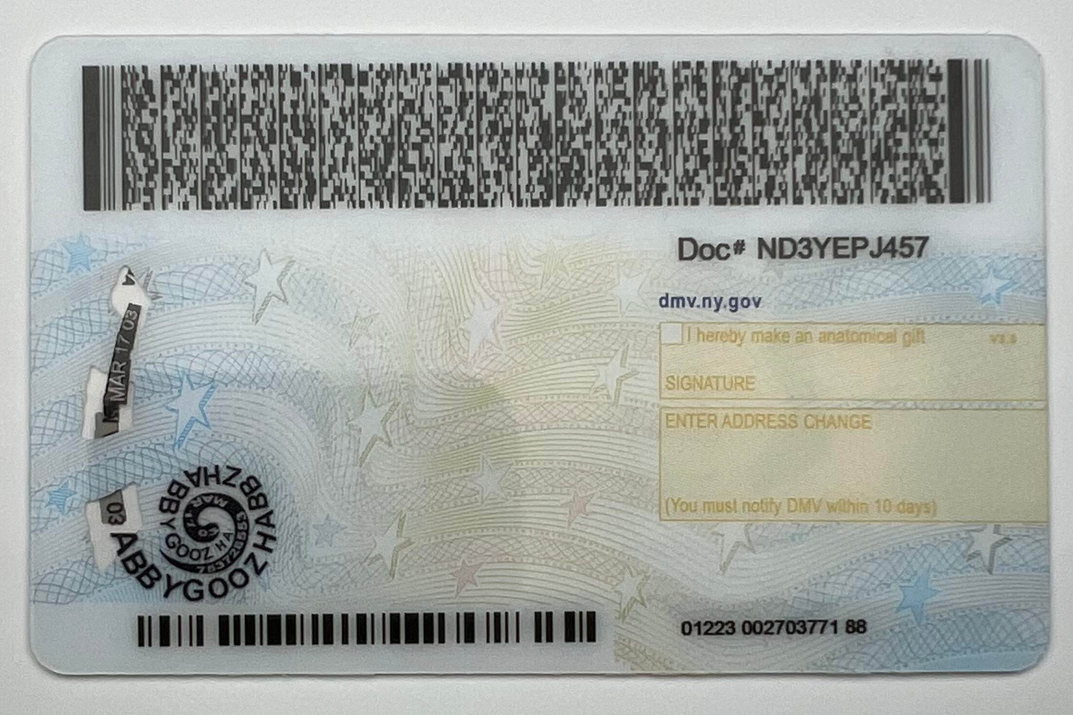 New York ID (Latest Version)