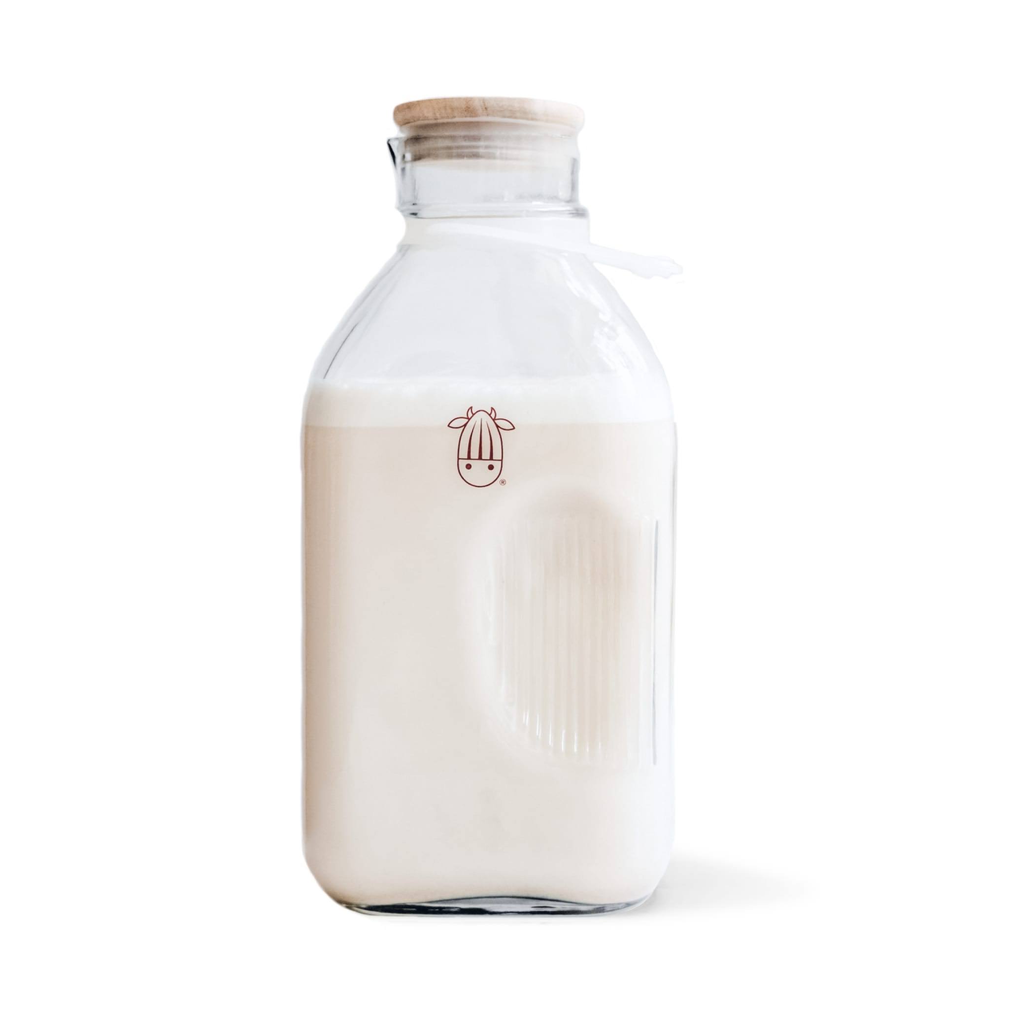 Almond Cow Glass Milk Jug - 60 Fluid Ounces | Perfect Milk Container Carafe for Refrigerator Fit - Glass Pitcher Milk Bottle - Food Grade Glass