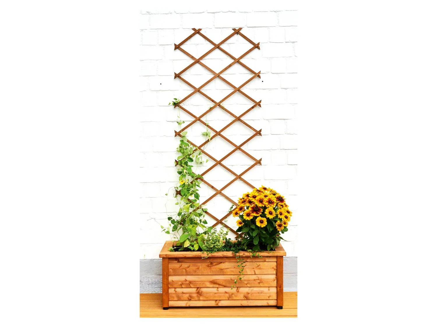 PARKSIDE Treillis en bois