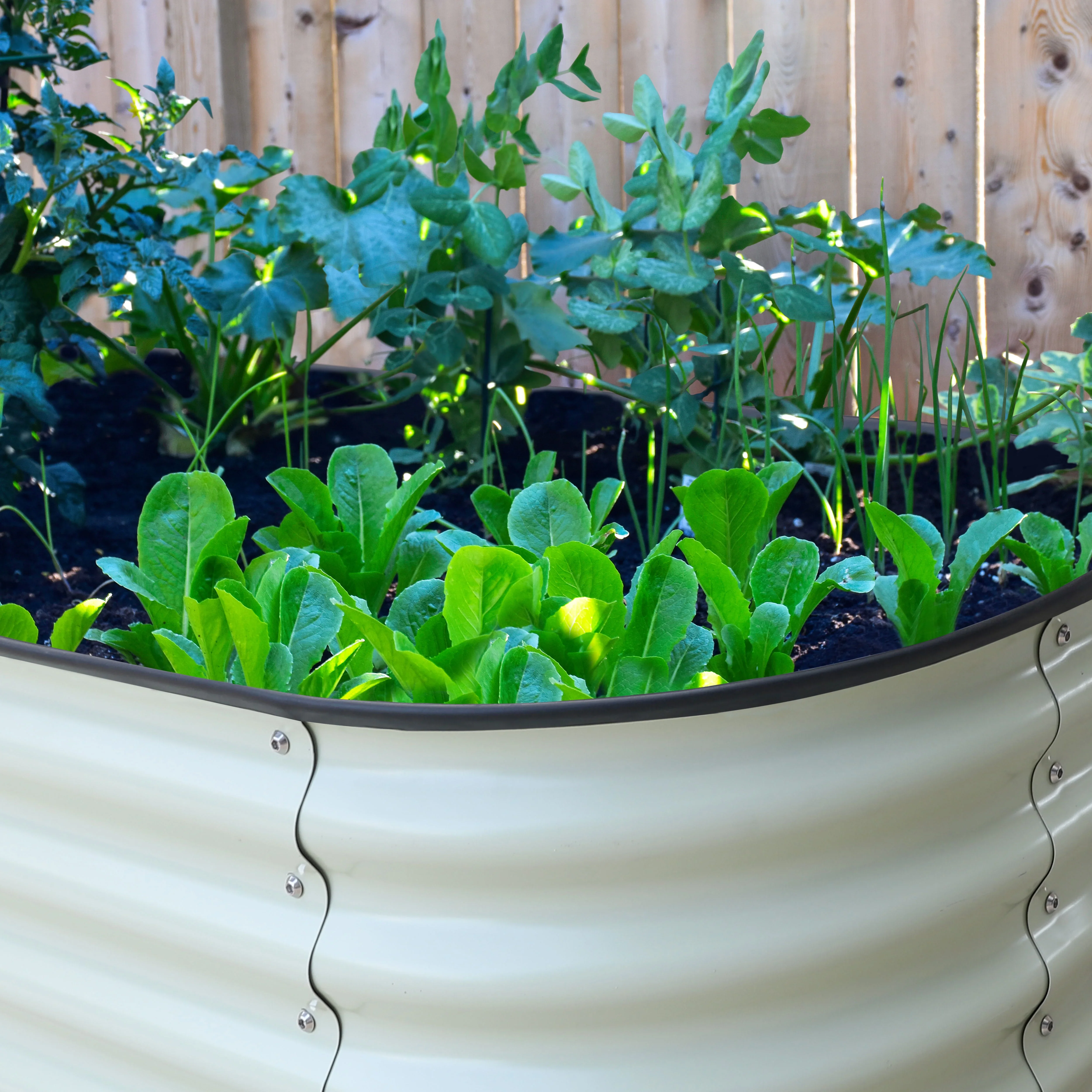 VEIKOUS Metal Garden Bed, 6x3x2 ft Galvanized 9-in-1 Modular Garden Planter Box Kit, Pearl White