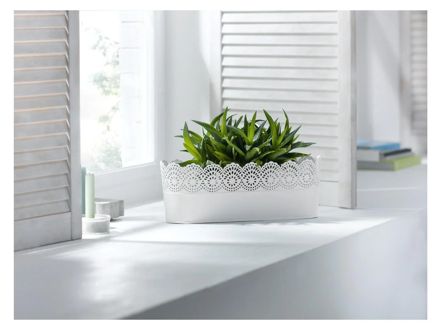 LIVARNO home Cache-pot en mtal