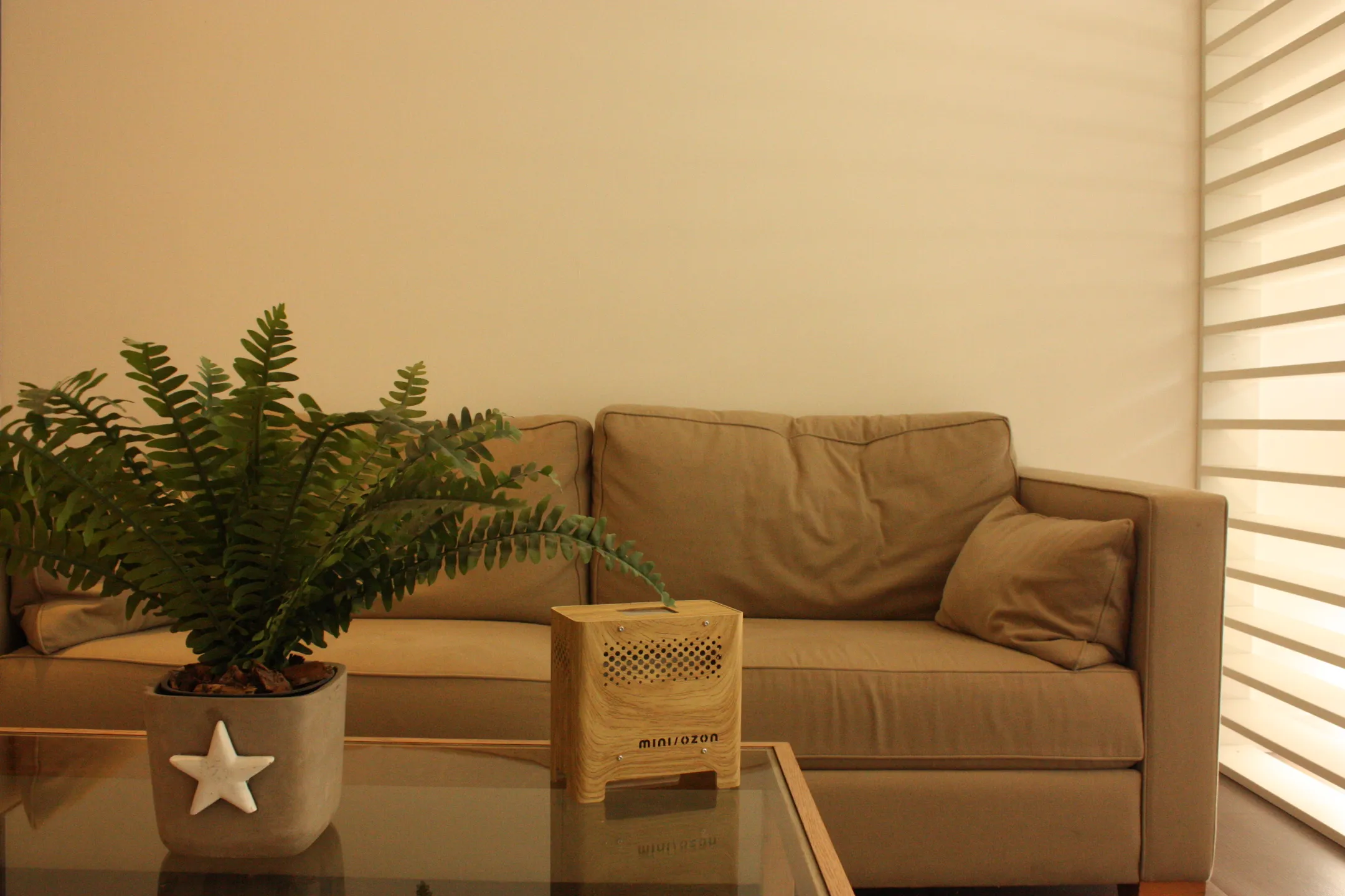 Mini Ozon Luchtreiniger - Wood