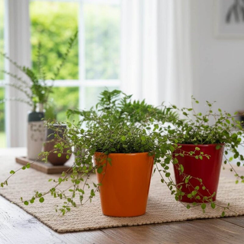 Plant blomsterpotte liten 12x12 cm oransje