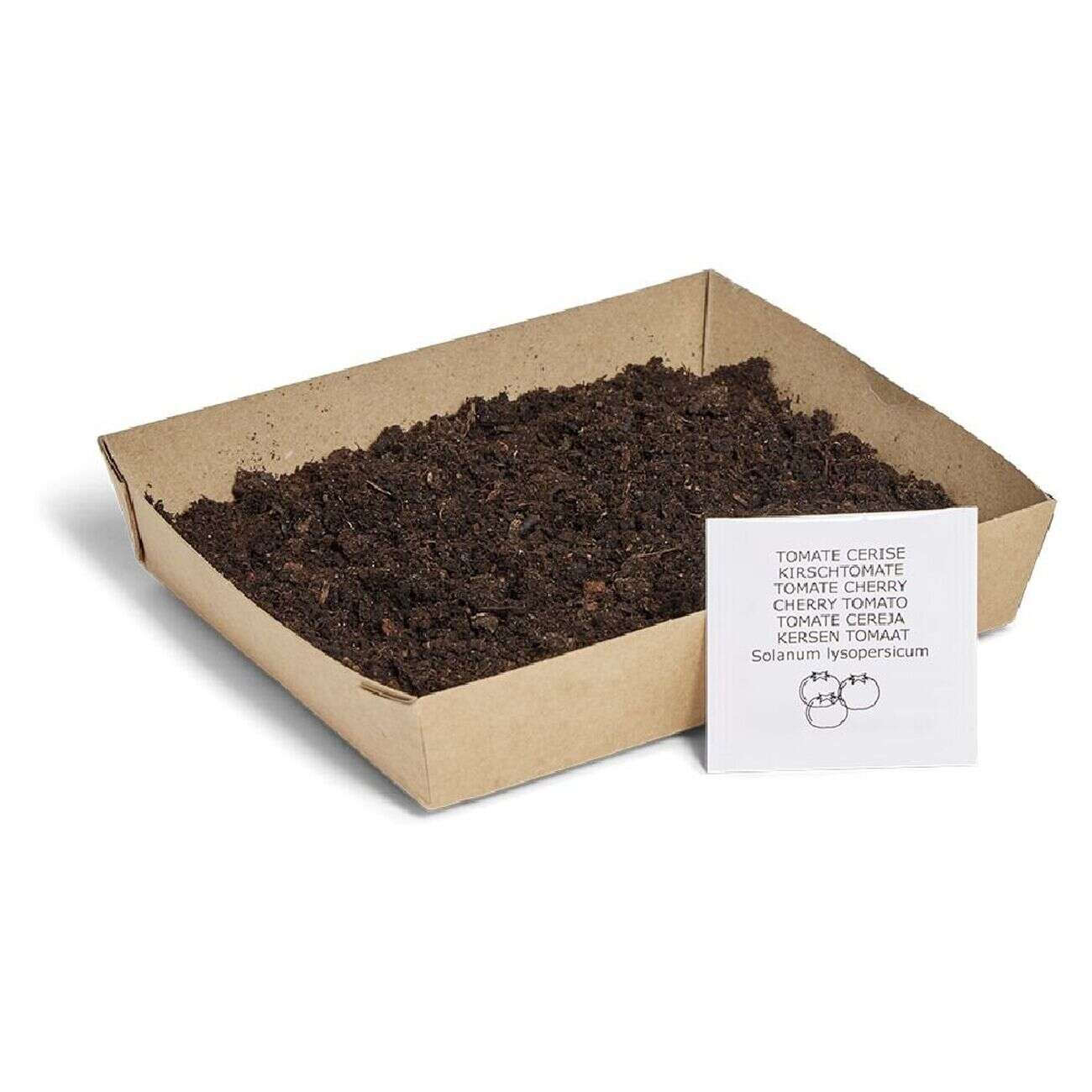 Bac de culture tomate cerise