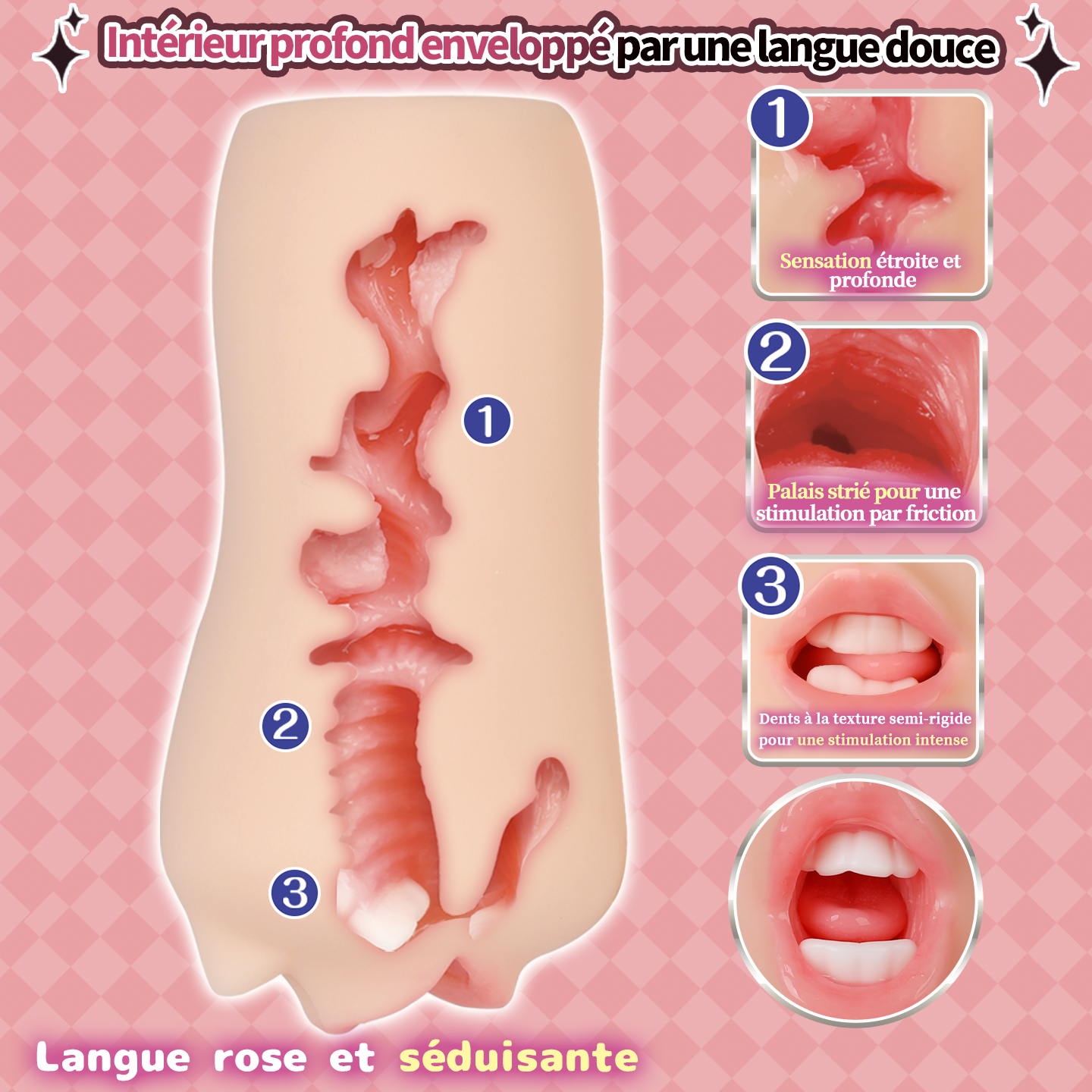 Dents douces offrant une morsure stimulante et sûre.