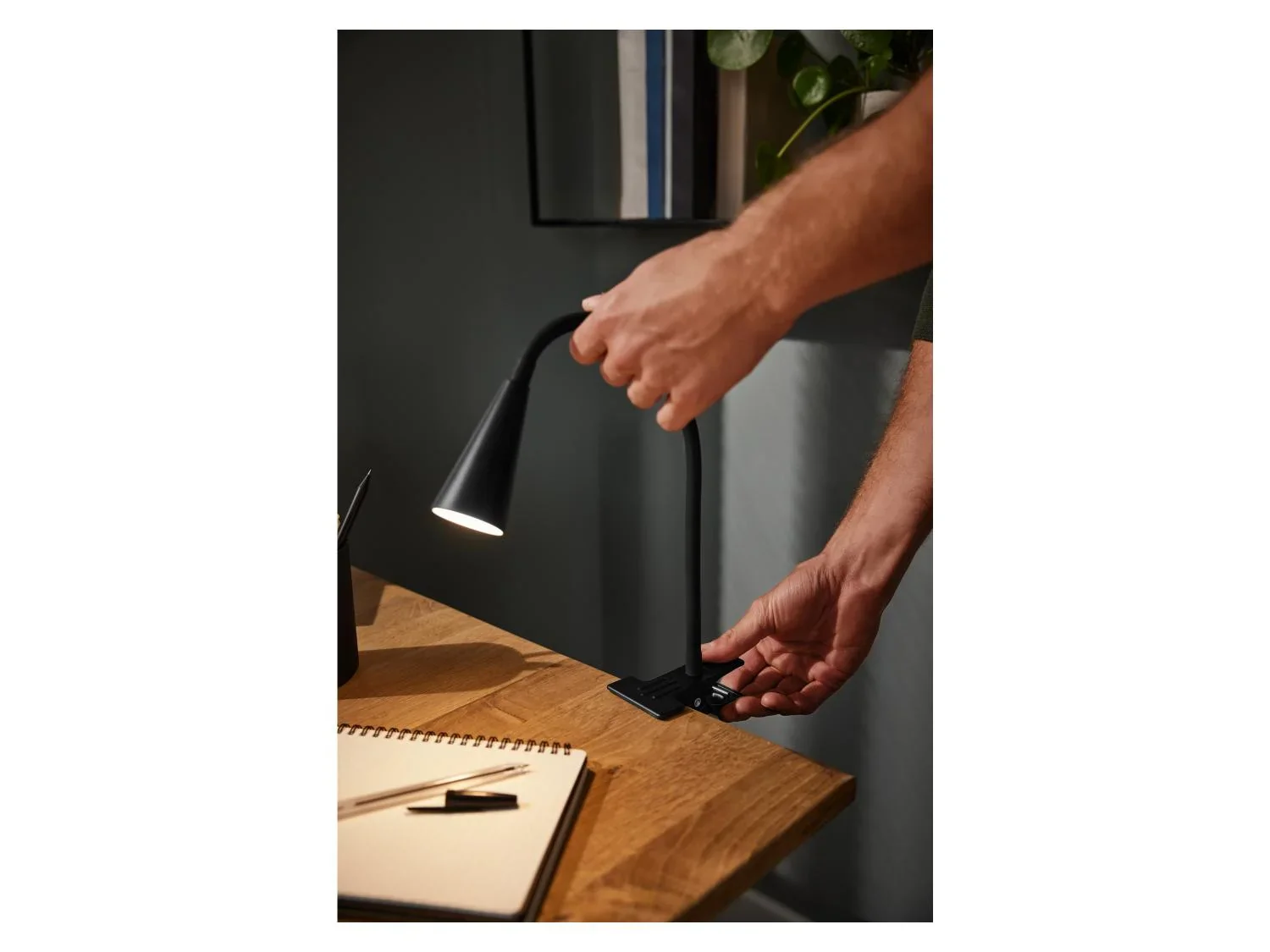 LIVARNO home Lampe LED  pince