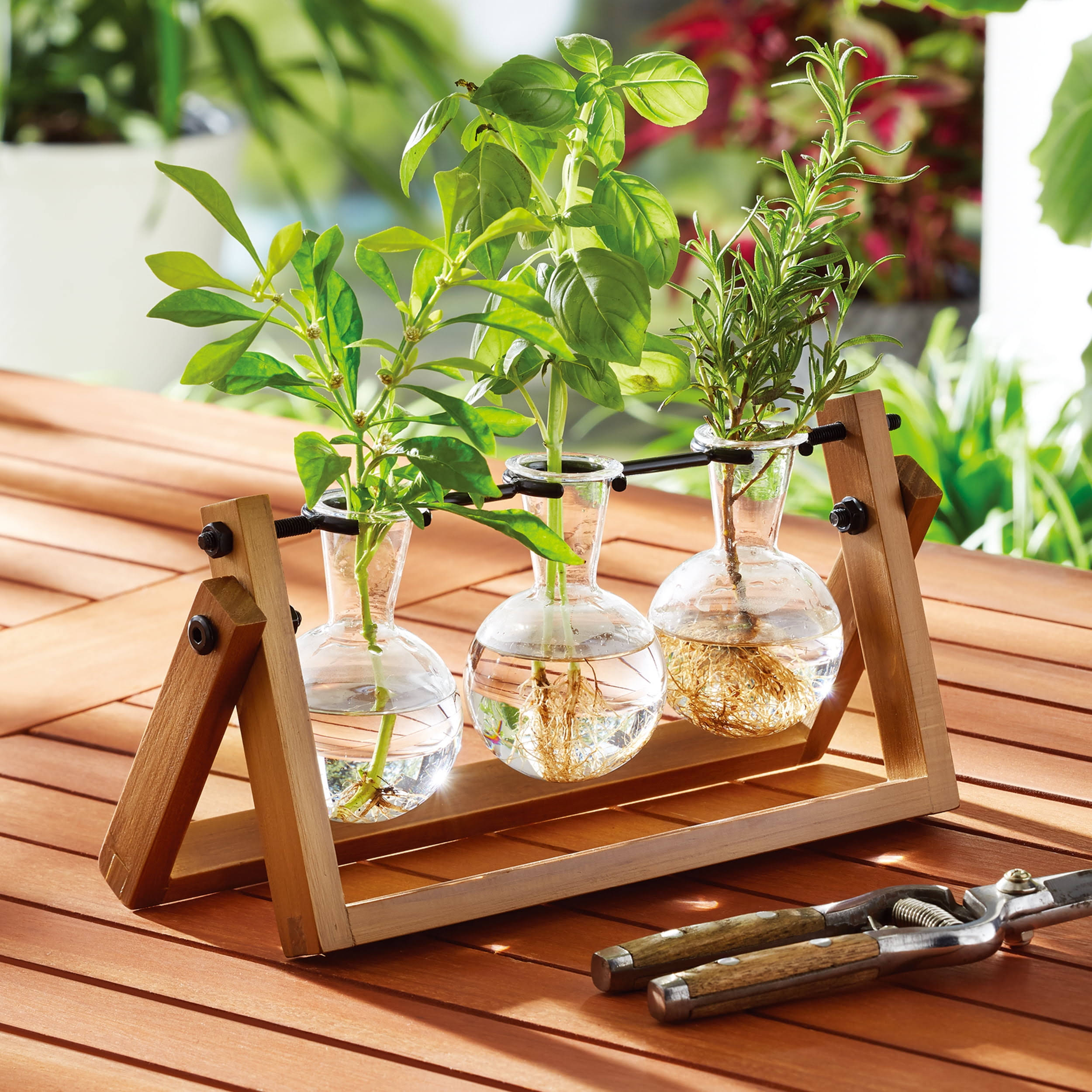 Better Homes & Gardens Painted Rectangle Glass and Wood Propagation Station Set, 11.3 in L x 4.3 in W x 5.5 in H, Size: 11.3 in Large x 4.3 in W x 5.5